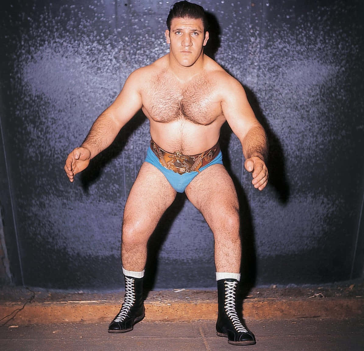 Bruno Sammartino World Heavyweight Champion Background