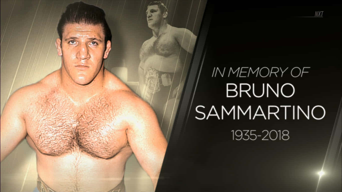 Bruno Sammartino Wrestling Greats And Legend