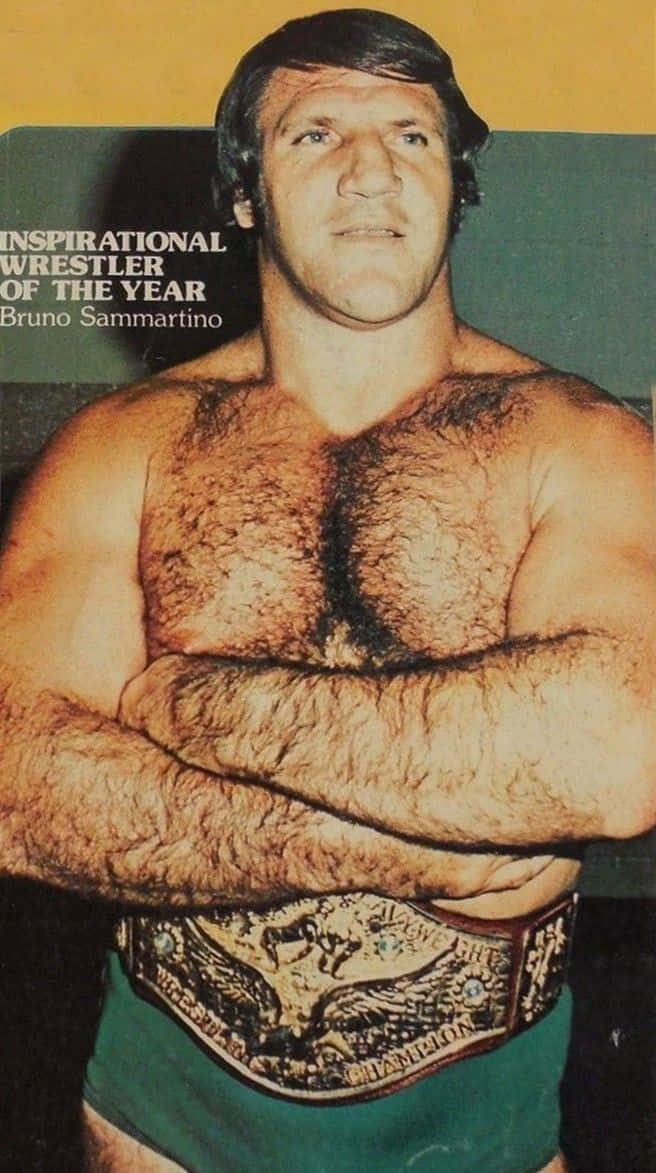 Bruno Sammartino Wrestling Icon Background