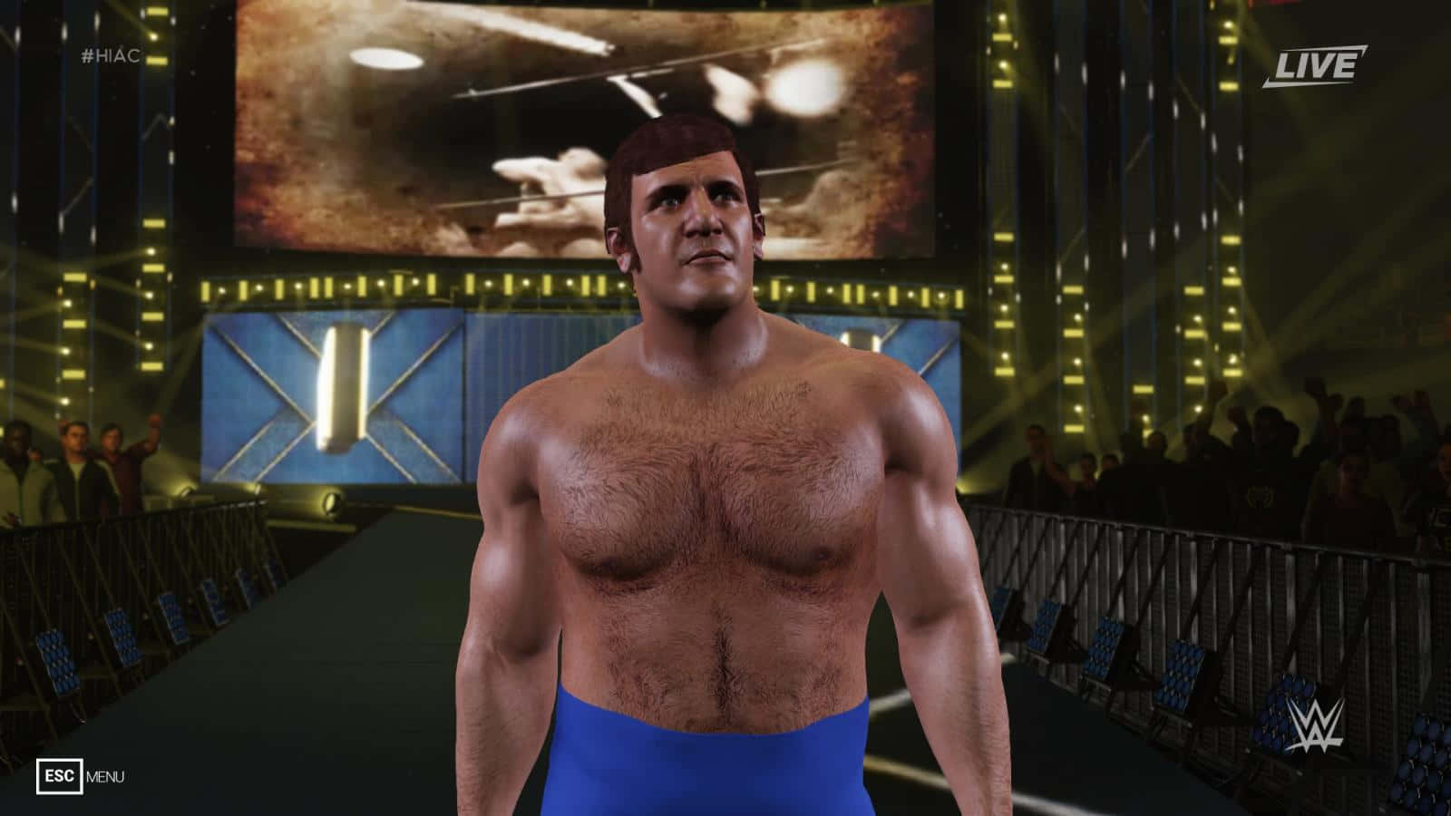 Bruno Sammartino Wwe 2k14 Video Game