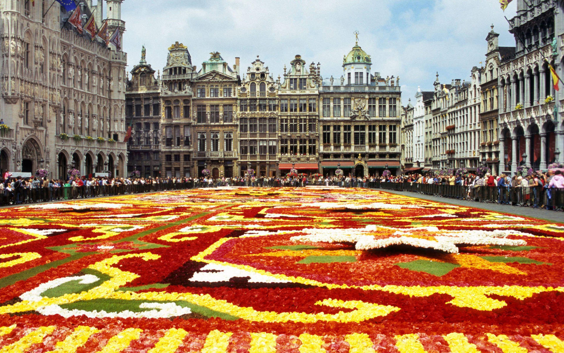 Brussels Flower Art Background