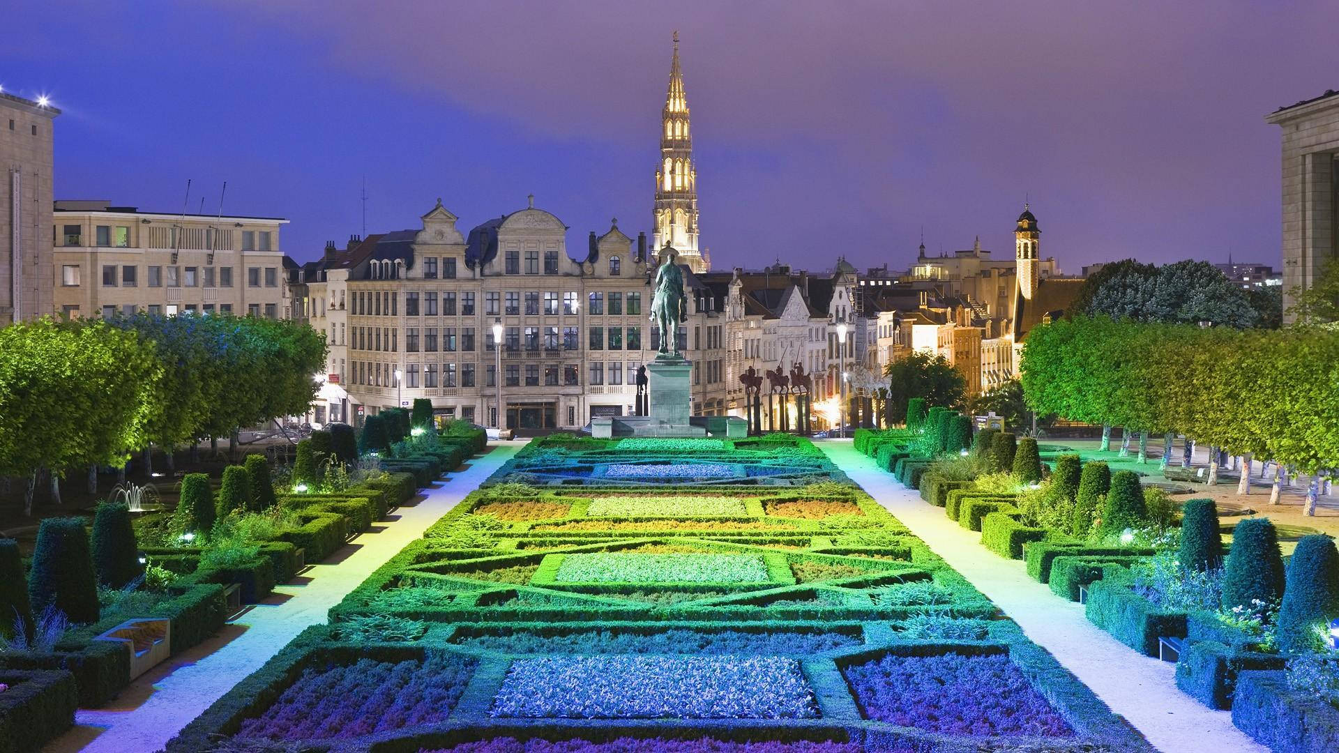 Brussels Illuminated Garden Background