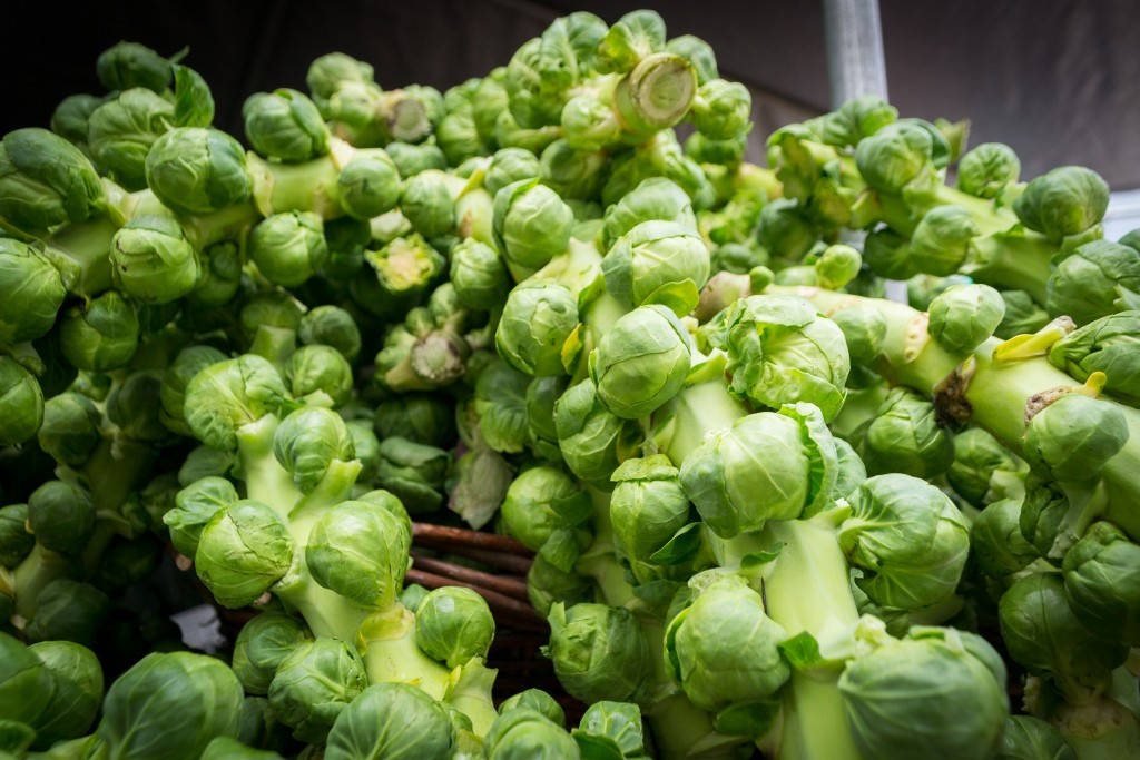 Brussels Sprouts Vegetable Attached To Stems Background