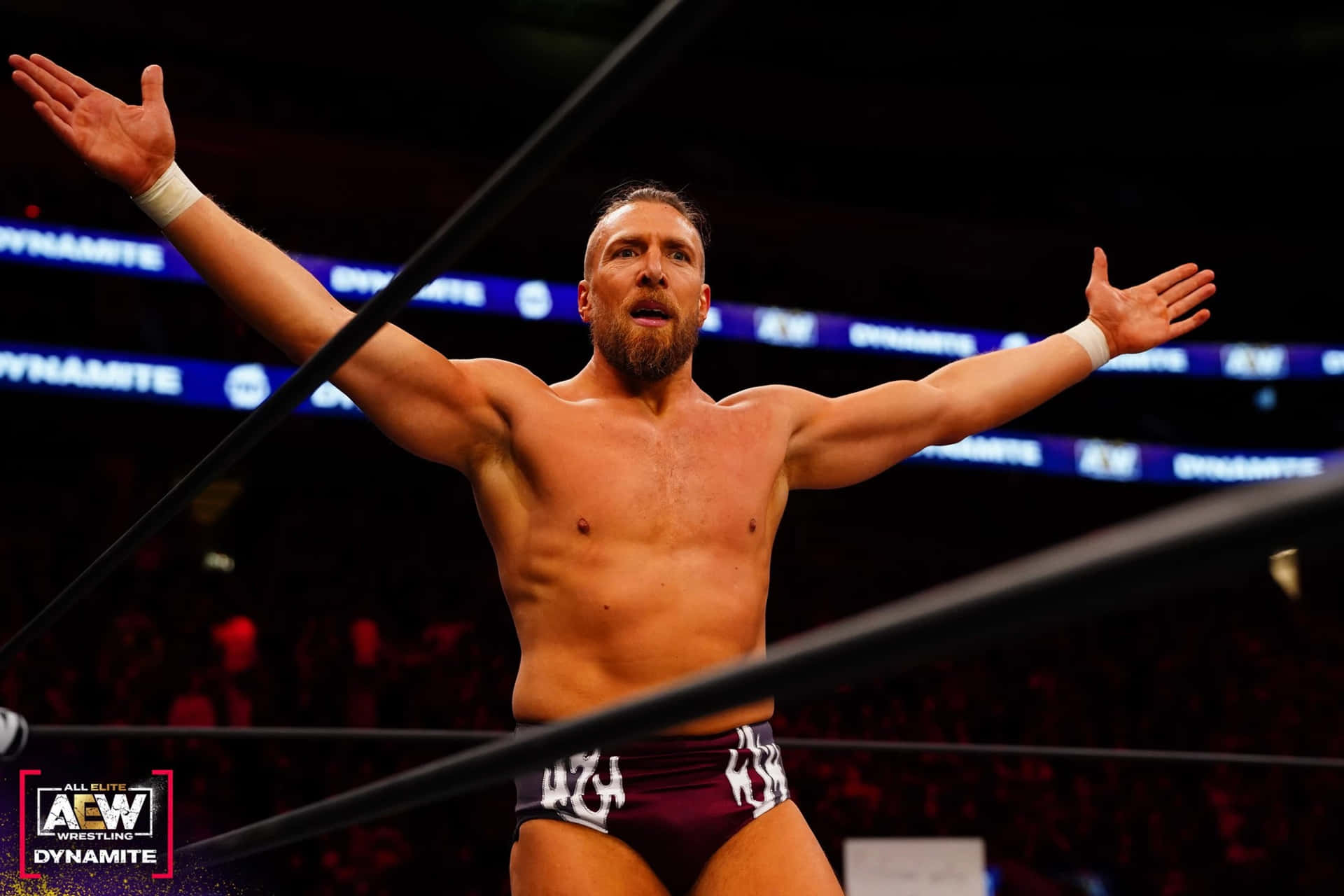 Bryan Danielson Wwe Professional Wrestler Background