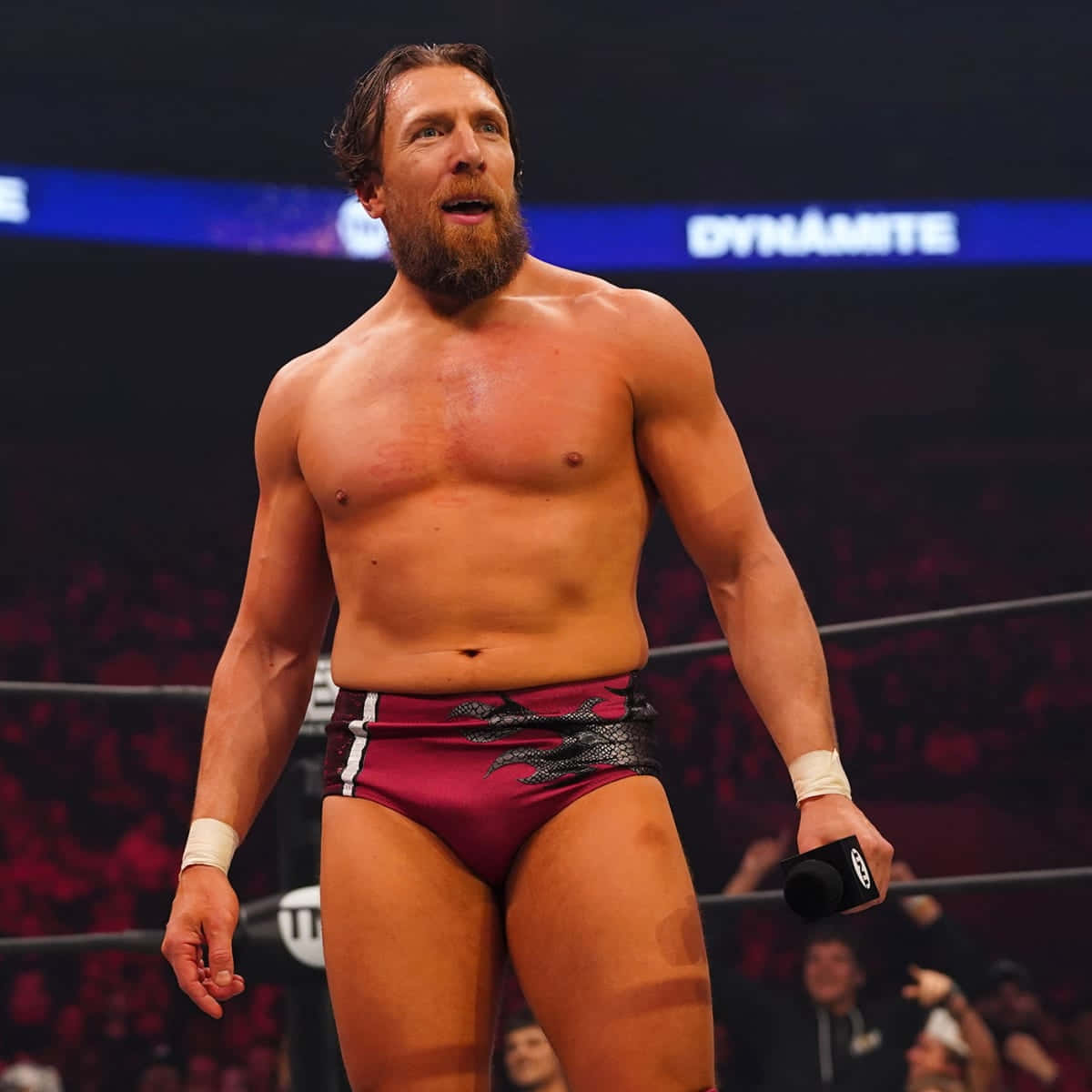 Bryan Lloyd Danielson Aka Bryan Danielson Background