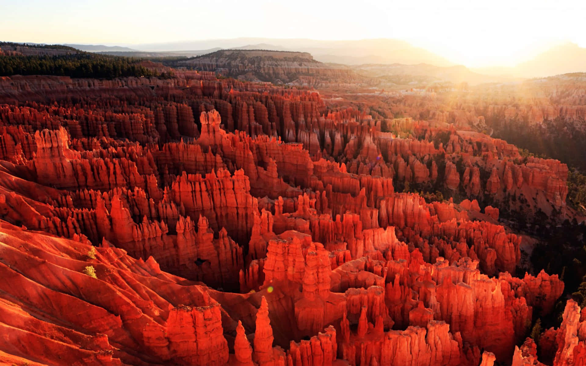 Bryce Canyon National Park Crimson Glow Background