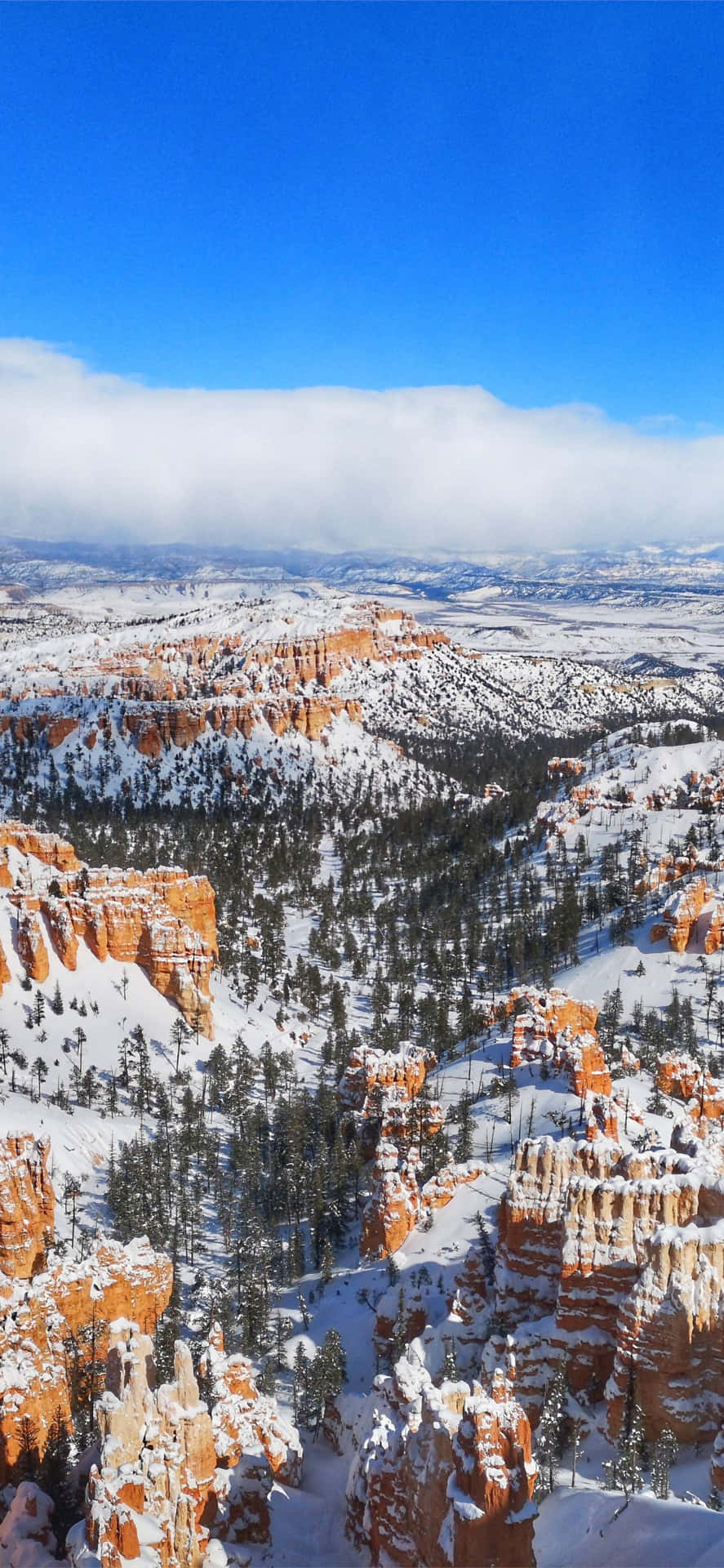 Bryce Canyon National Park Deep Snow Background