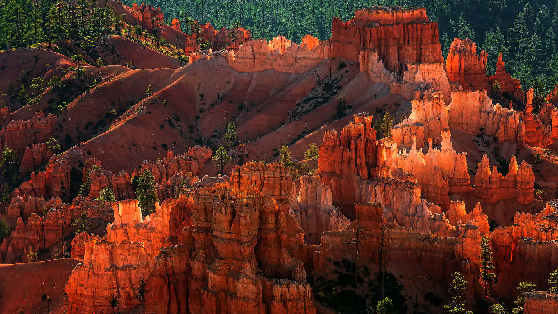 Bryce Canyon National Park Eroded Rock Formations