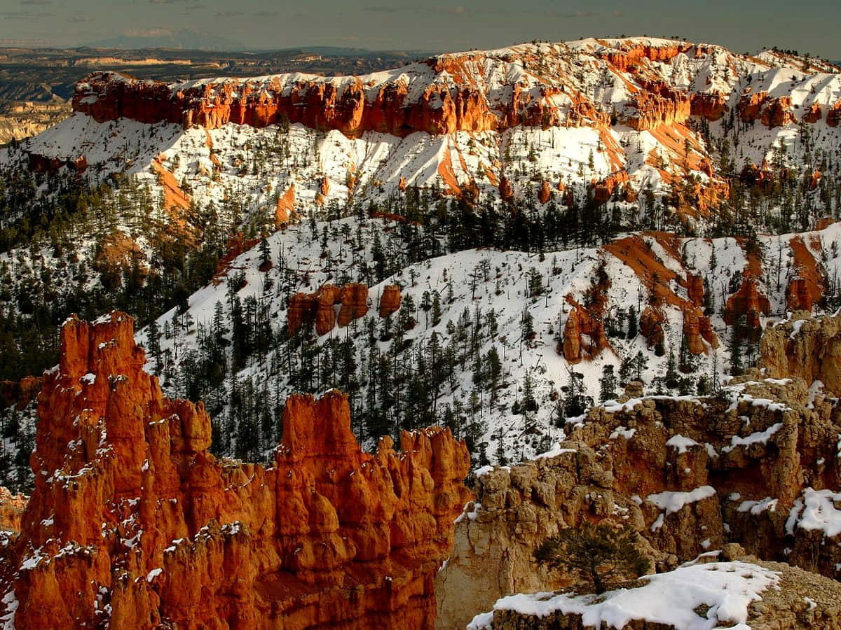 Bryce Canyon National Park Hit By Sunlight