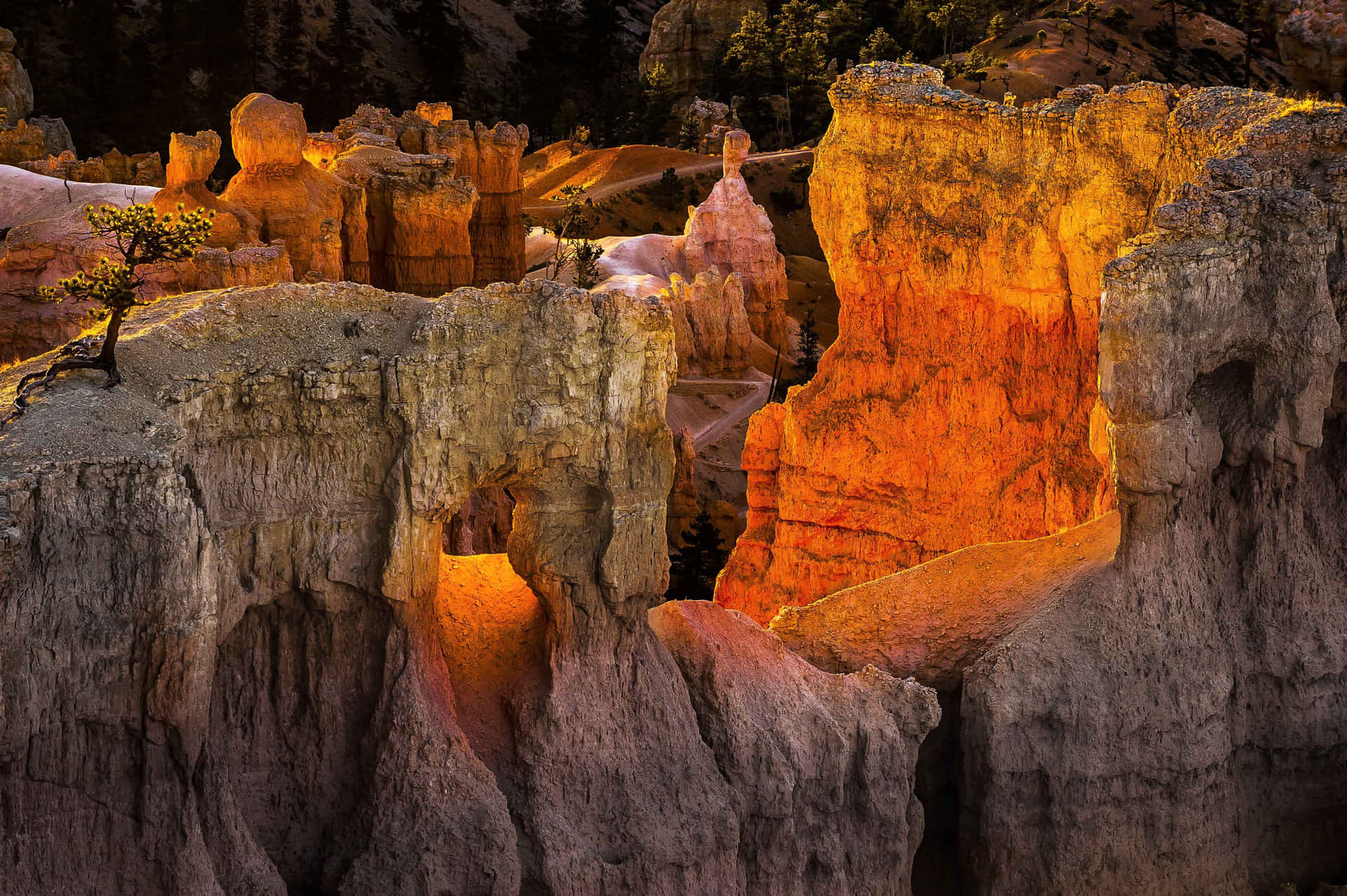 Bryce Canyon National Park Low Red Glow Of The Sunset