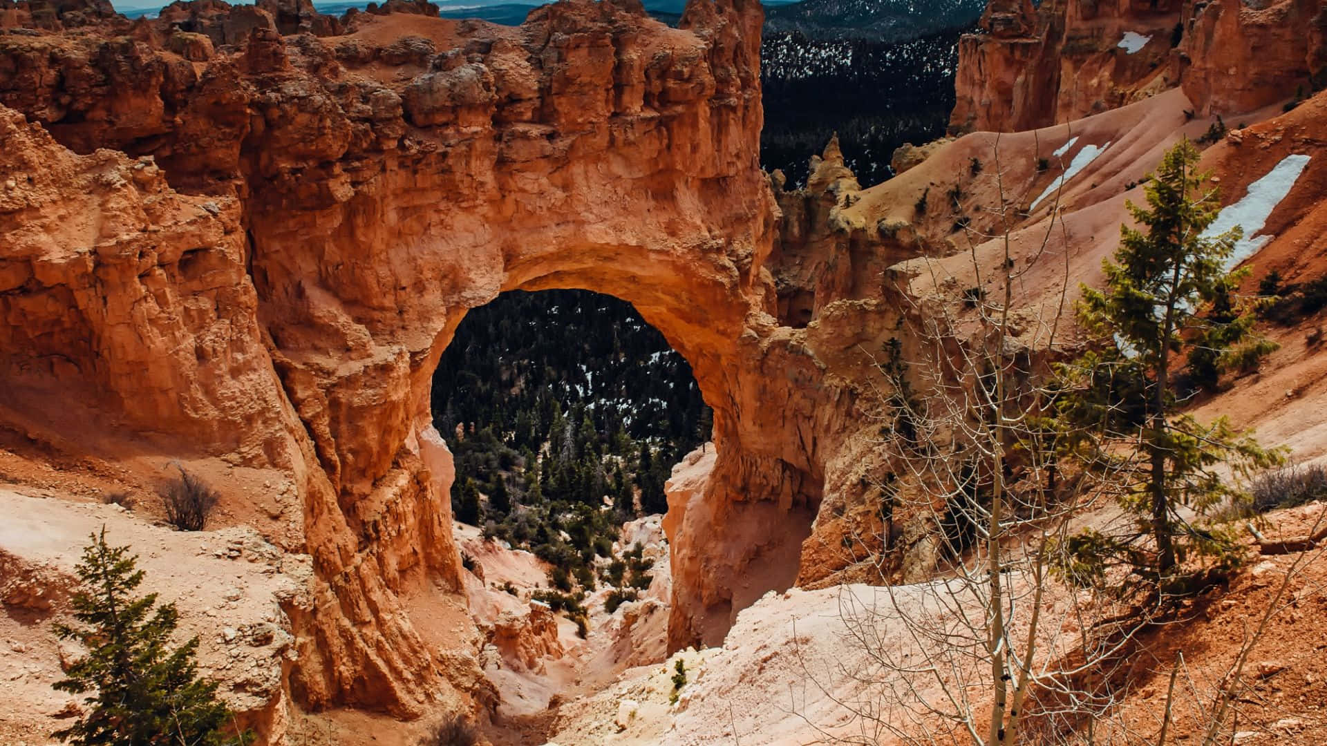 Bryce Canyon National Park Natural Bridge Background