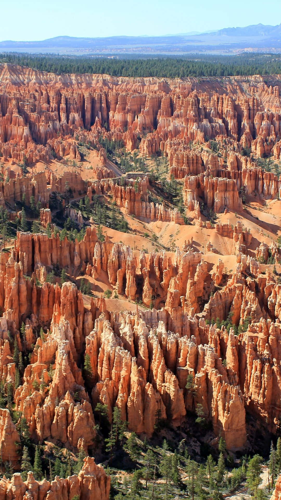 Bryce Canyon National Park Rock Formations In Depression Background