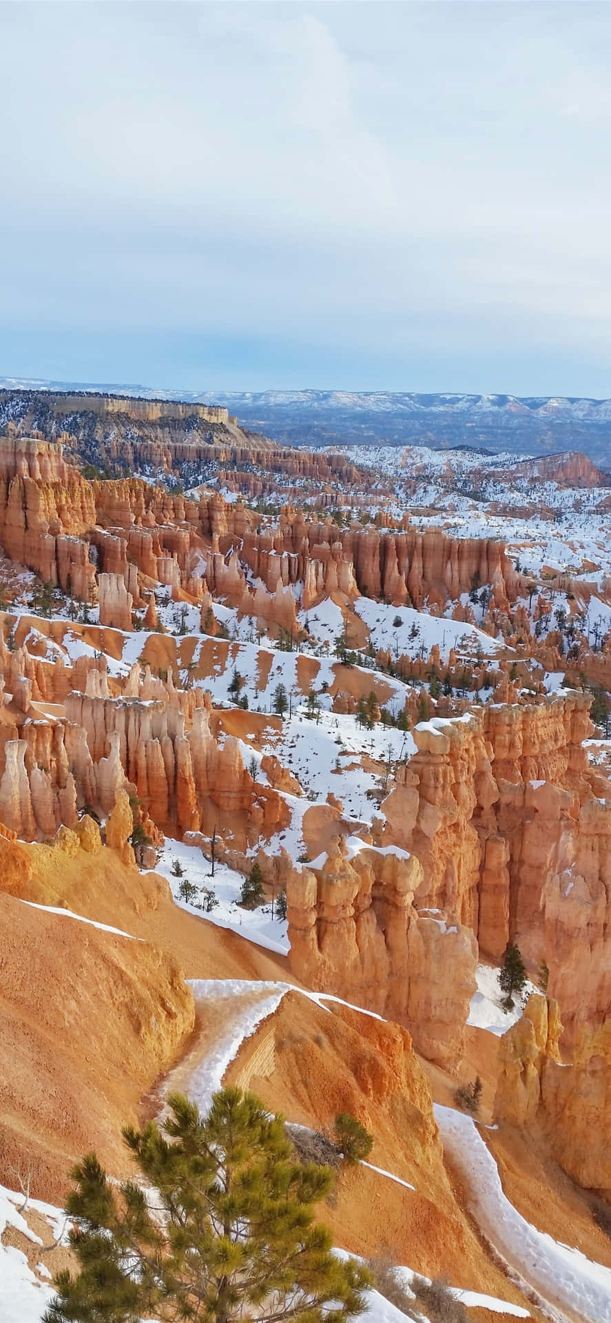Bryce Canyon National Park Snow Shower