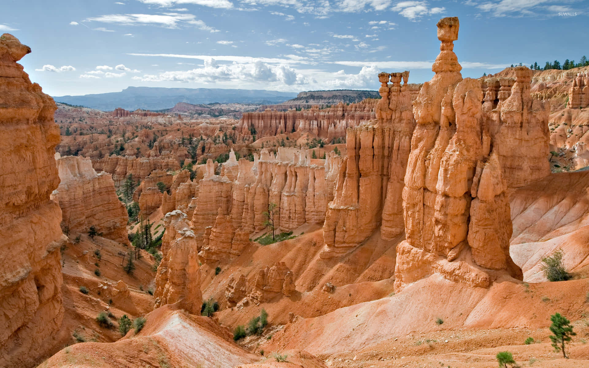 Bryce Canyon National Park Steep Slope Background