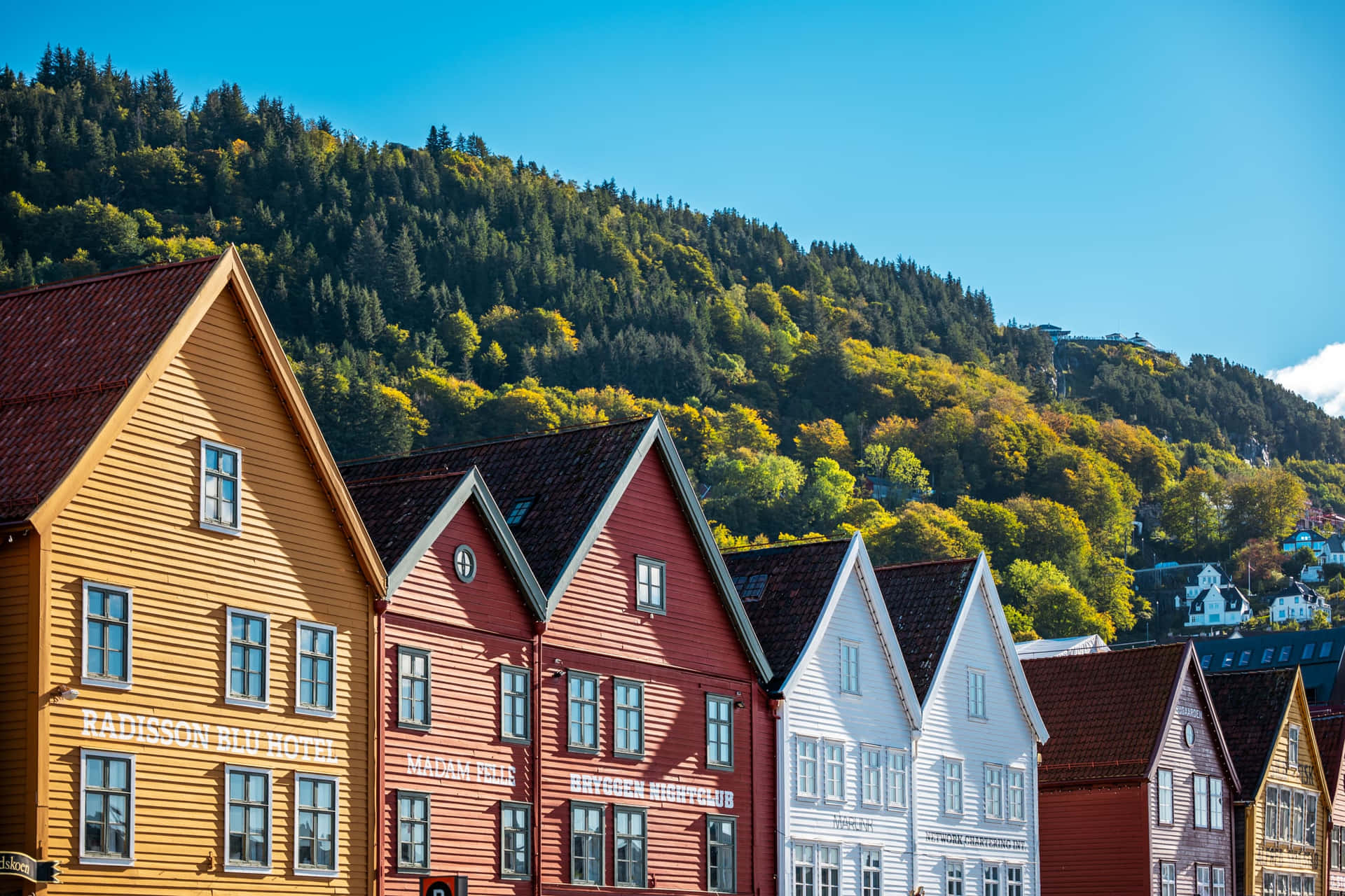 Bryggen Historic Norwegian Buildings Background
