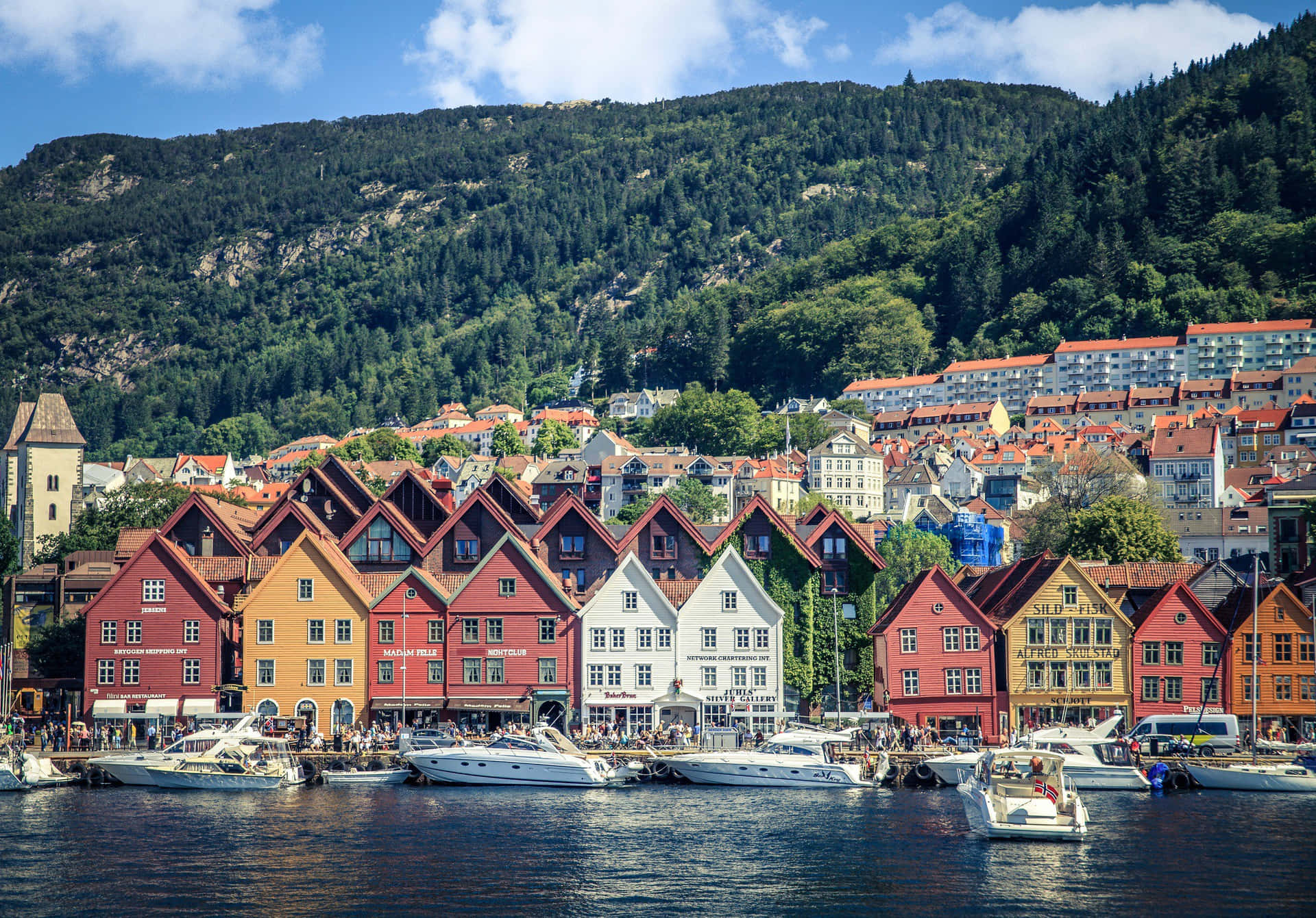 Bryggen Background