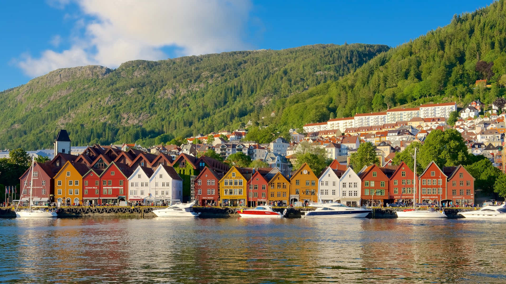 Bryggen Waterfront View Bergen Norway Background