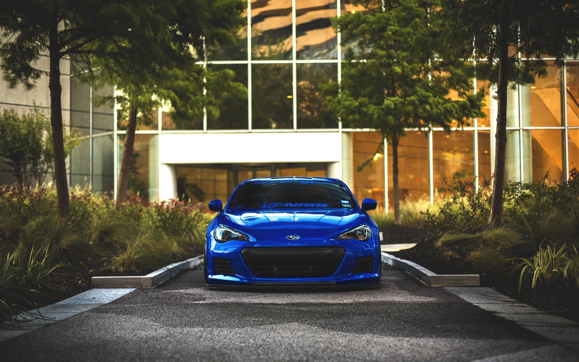 Brz Driving By The Plants Background