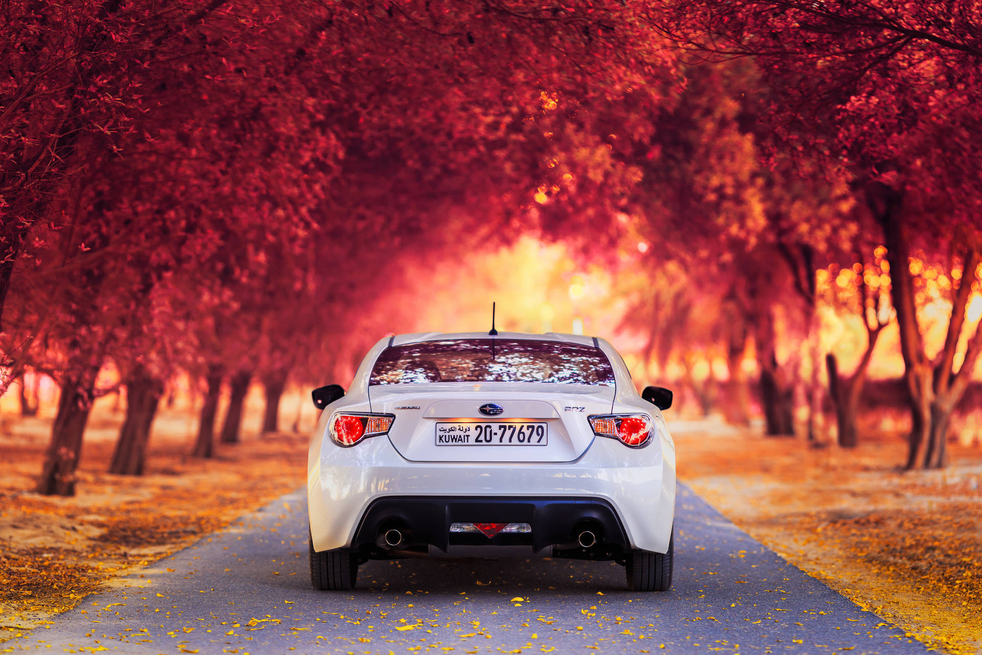 Brz Driving Through Maple Forest Background