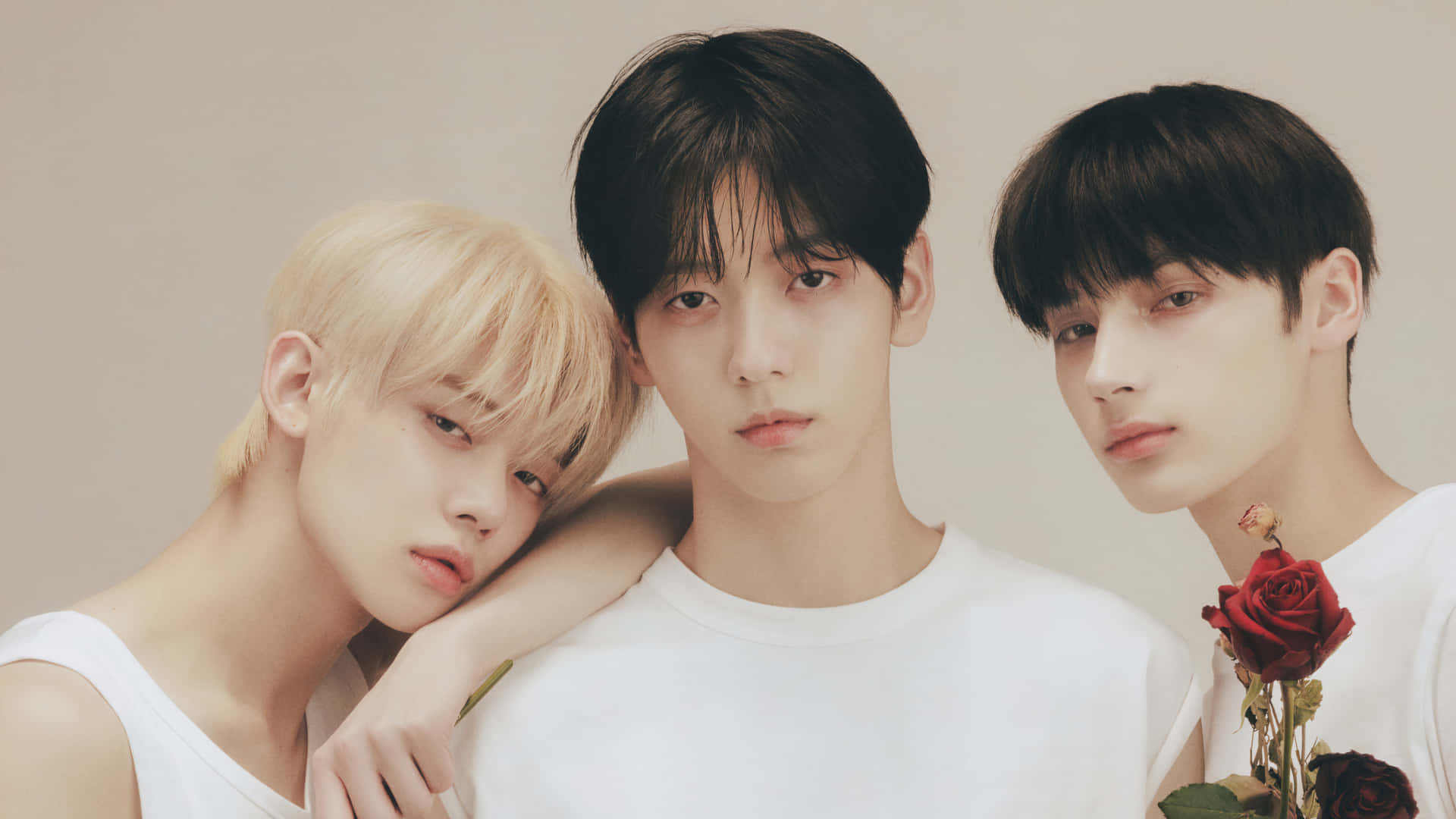 Bts - Bts - Bts - Bts - Bts - B Background