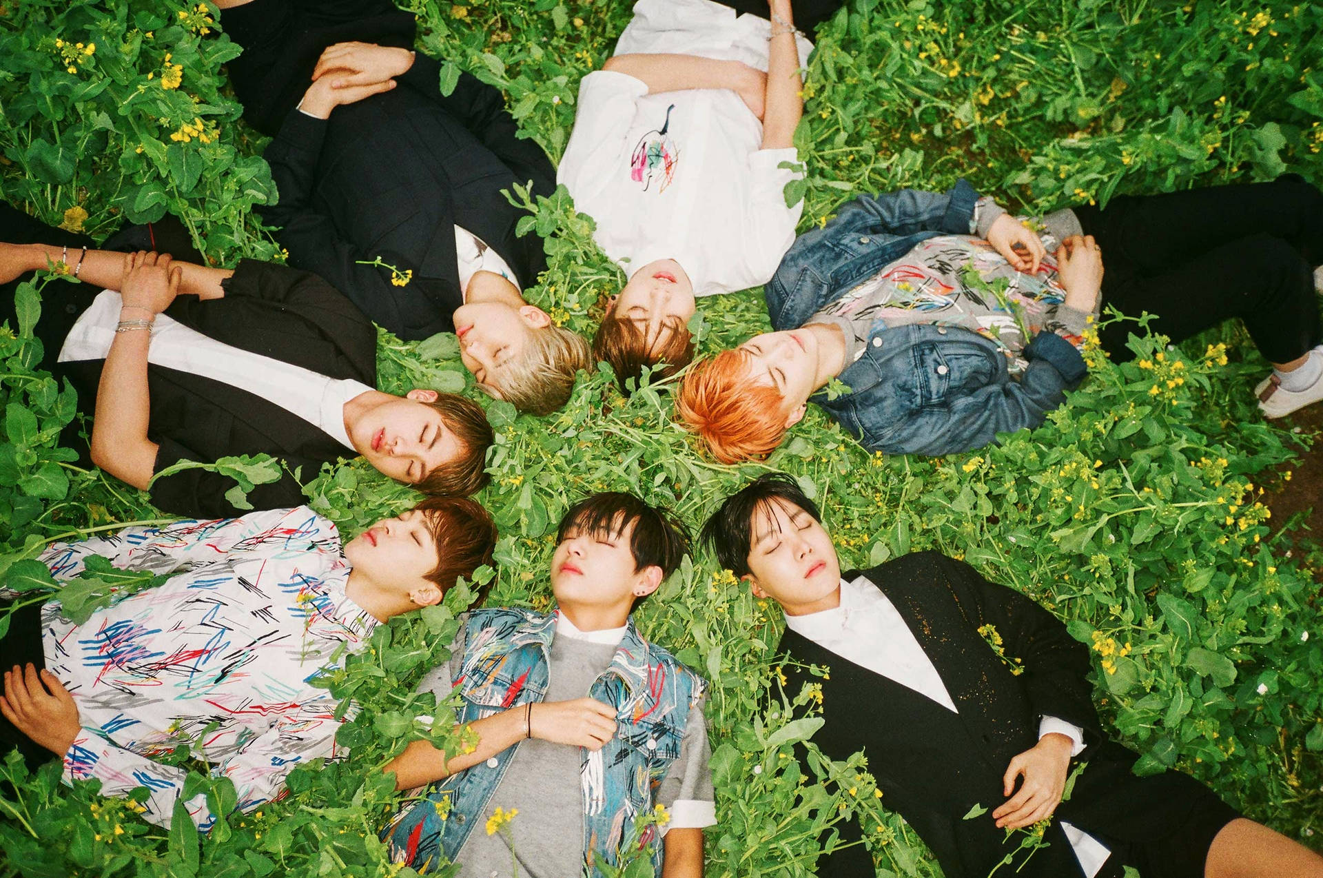 Bts Desktop Lying On Grass