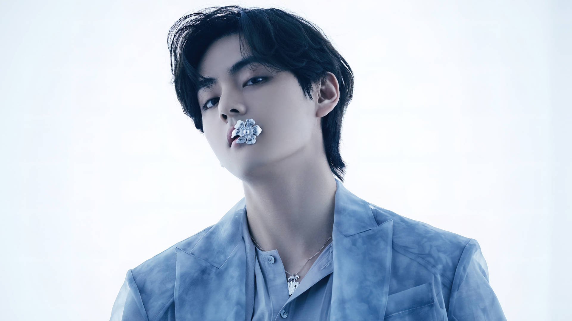 Bts Tae Hyung Flower In Mouth Background