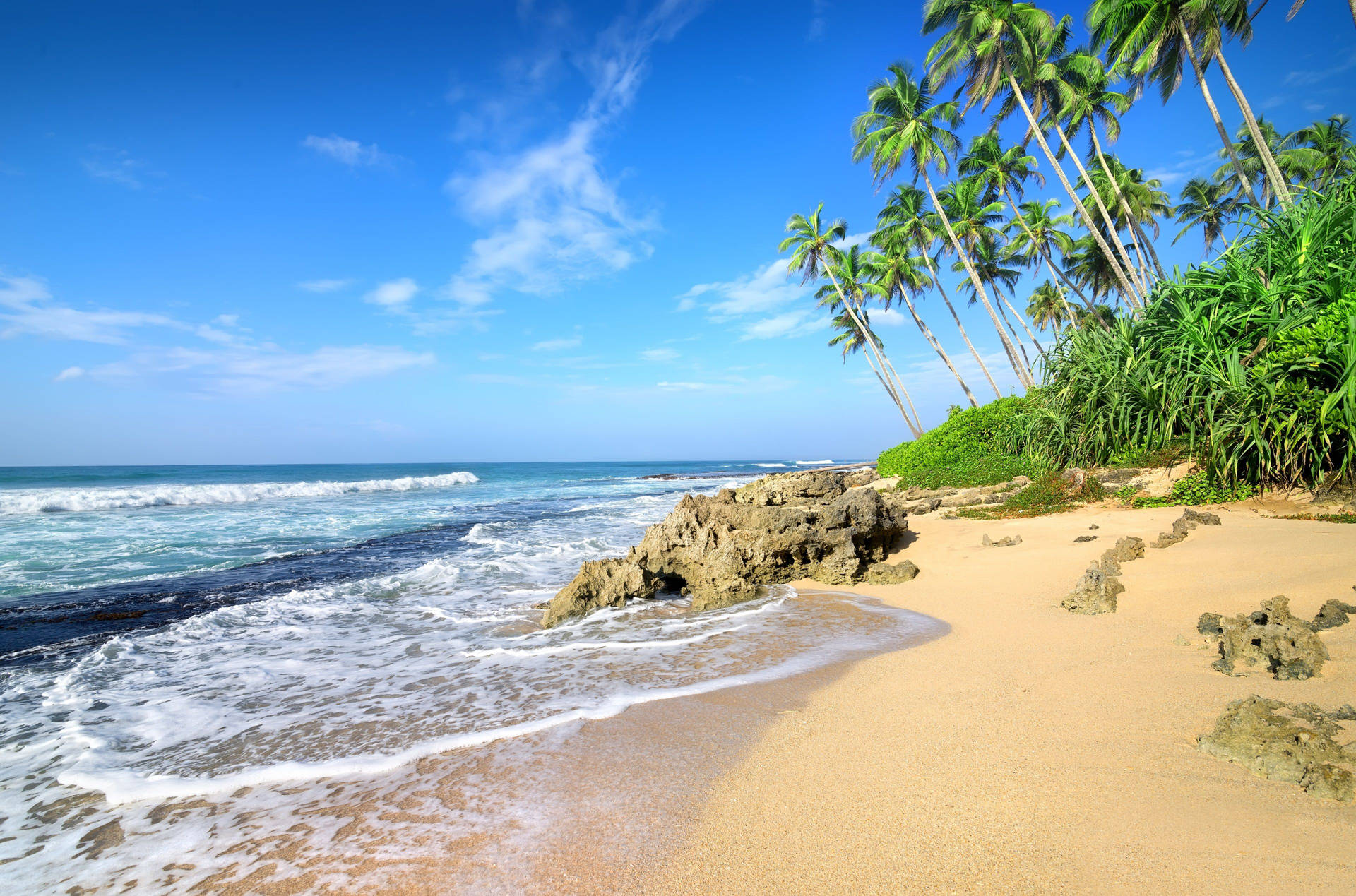 Bubbly Beach Scenes Desktop Background