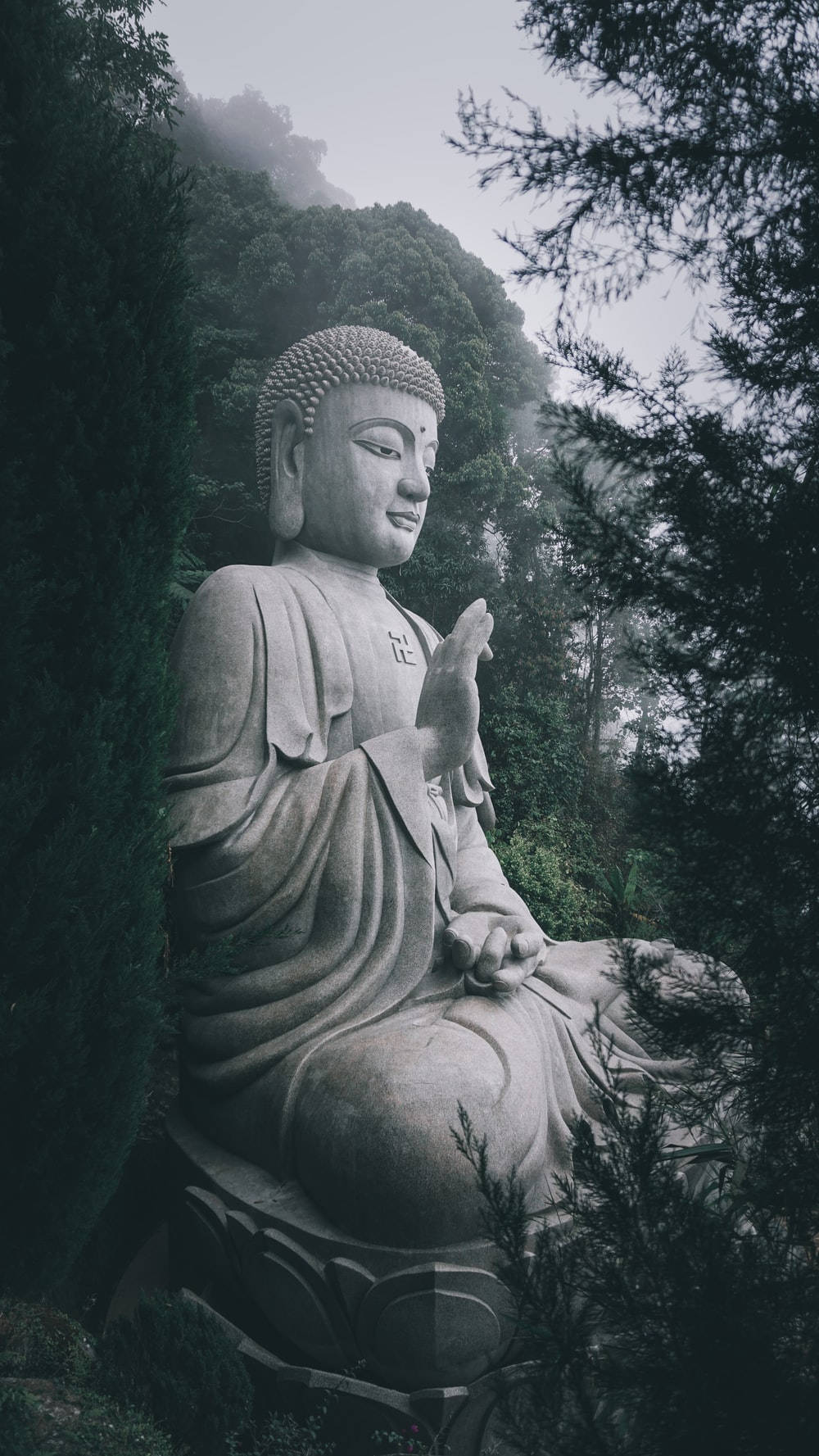 Buddha 3d In A Forest Background