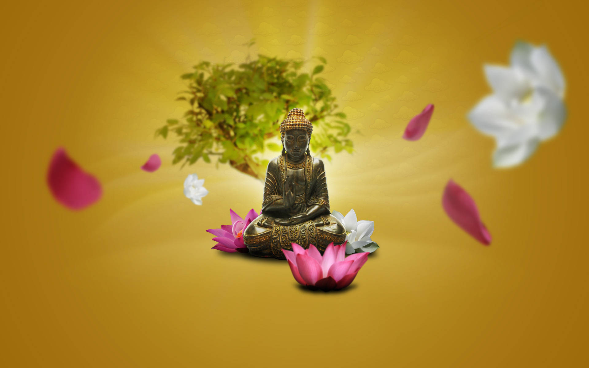 Buddha Desktop In Yellow Gradient Backdrop Background