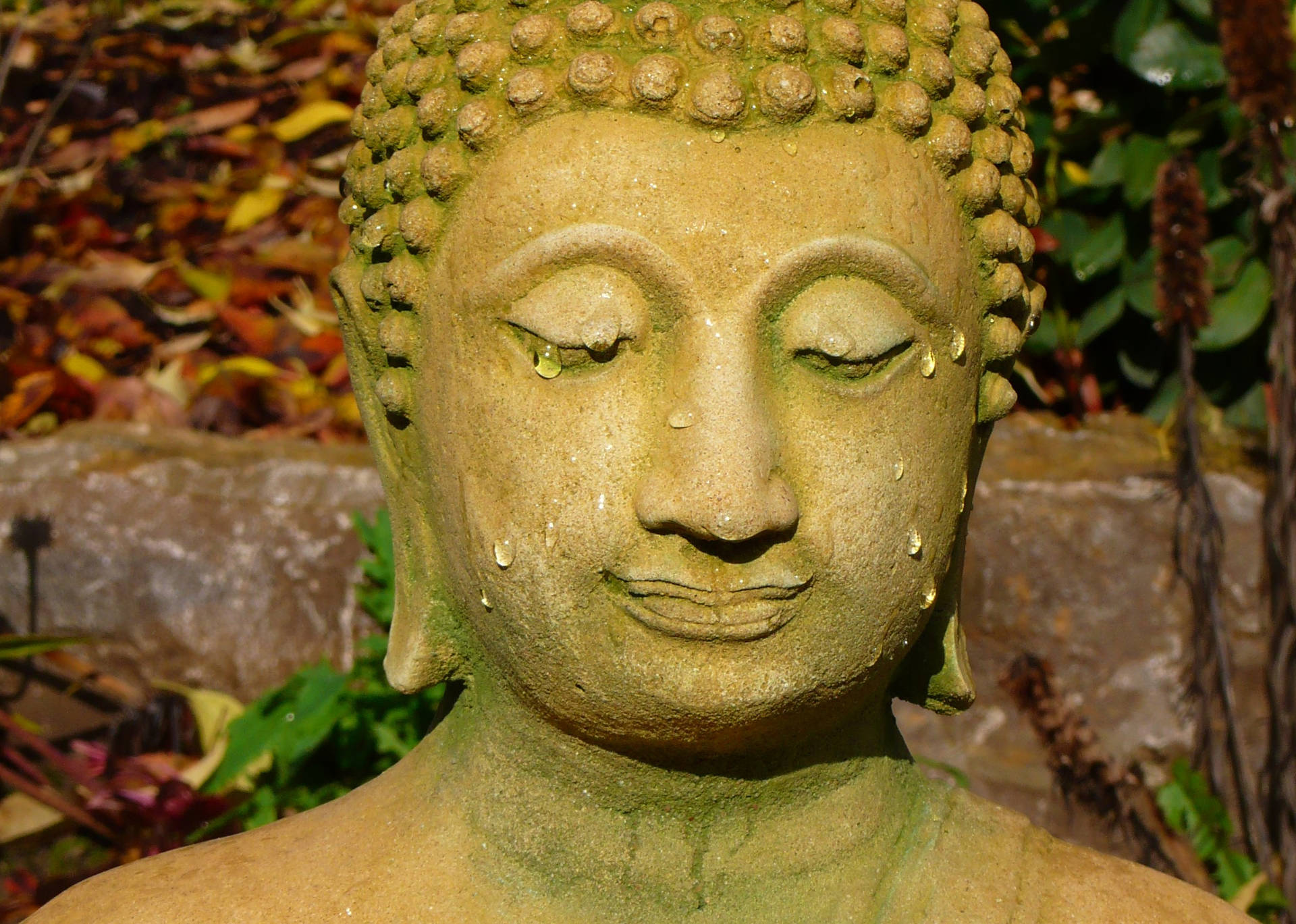 Buddha Hd Close-up Background