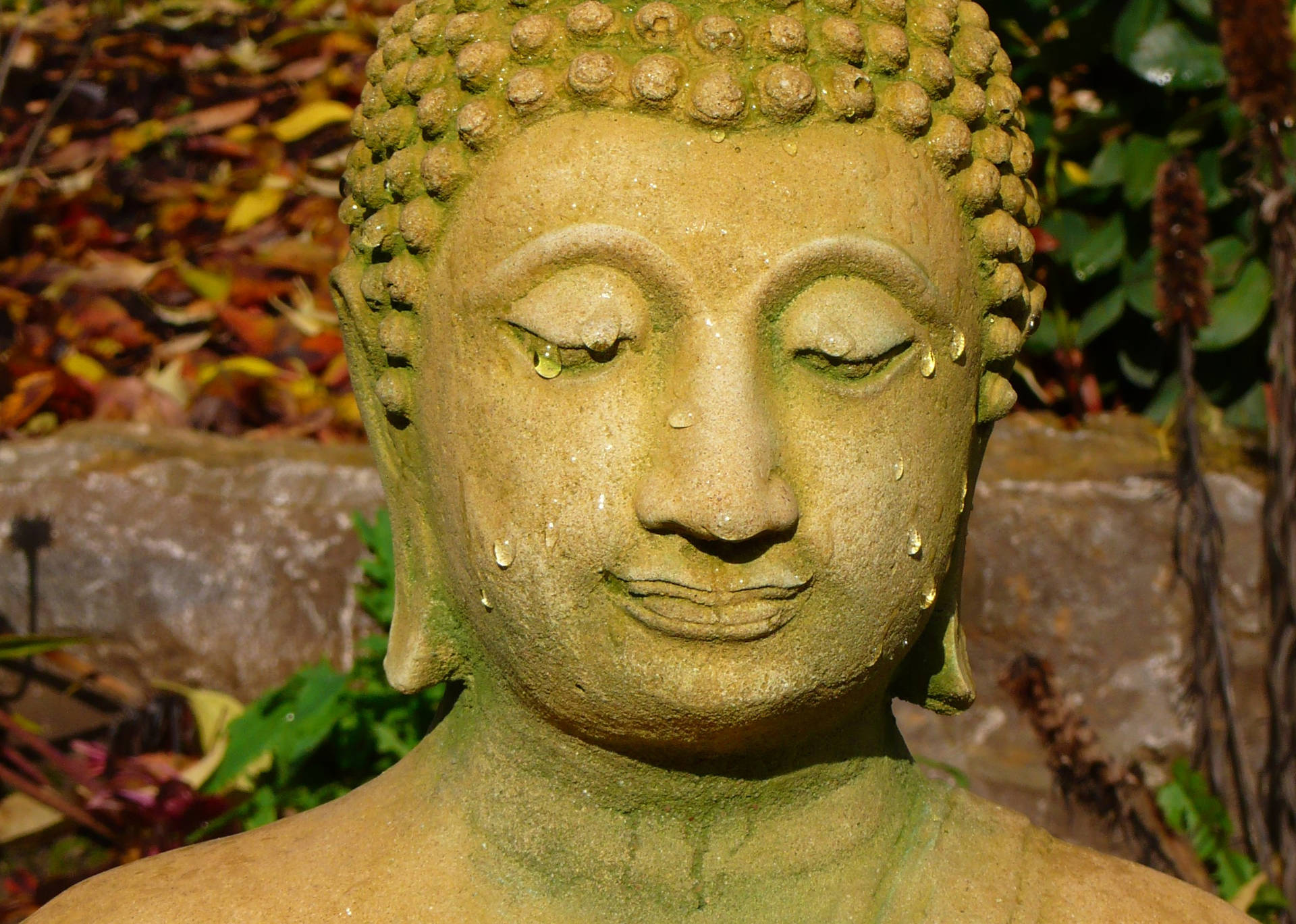 Buddha Hd Close-up