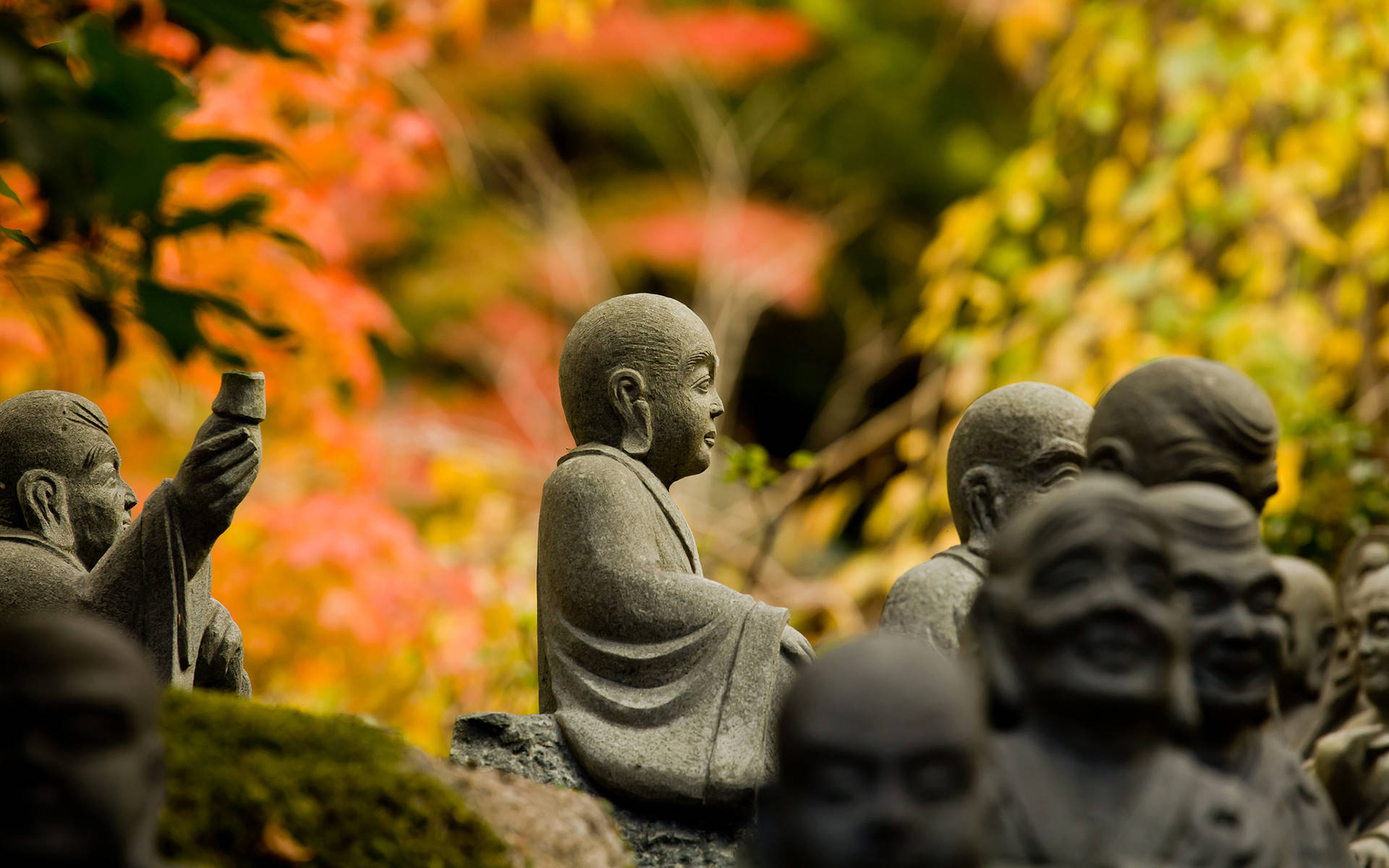 Buddha Hd Image During The Fall Background