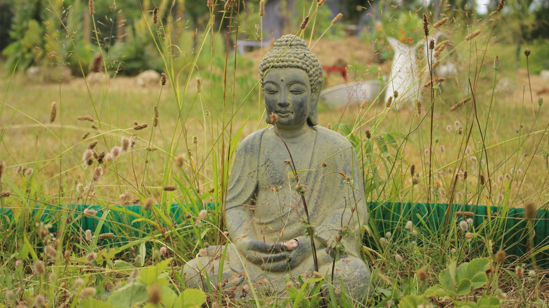 Buddha's Meditation In A Vast Field Background