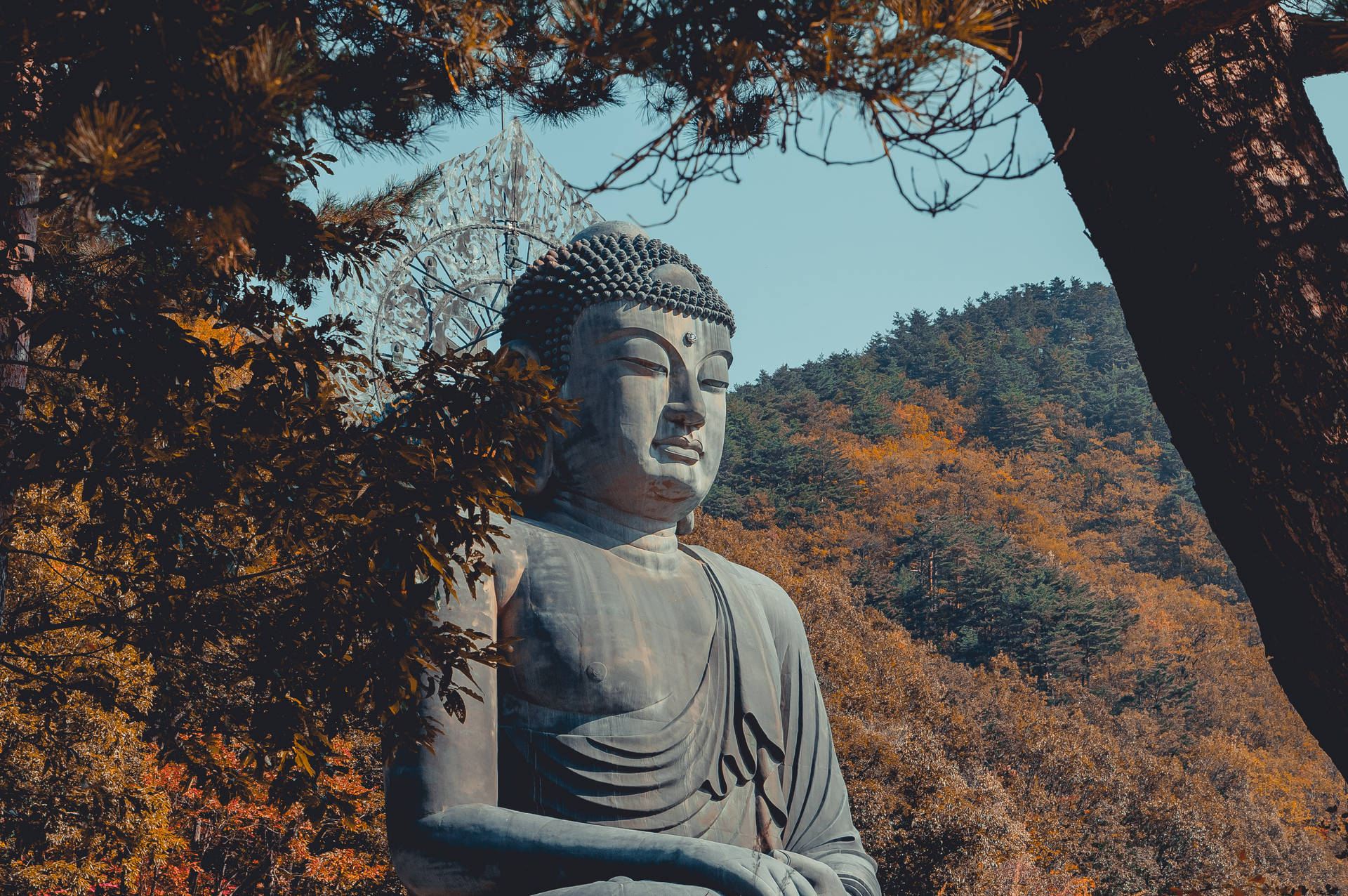 Buddha Statue Behind Trees Background