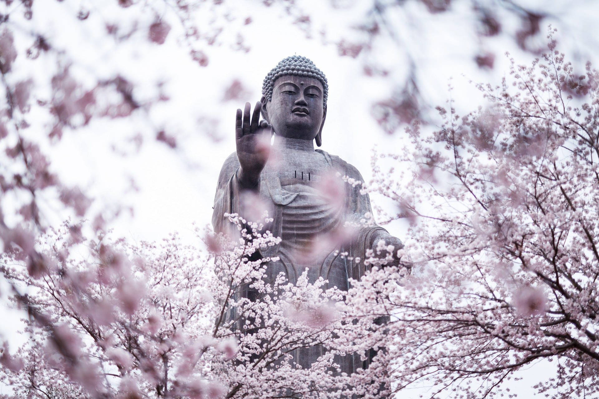 Buddha Statue In Winter Background