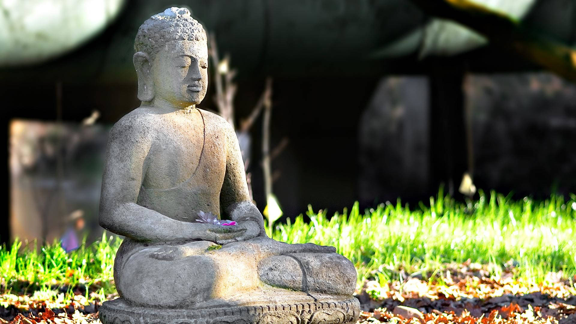 Buddhist Meditation Statue Background