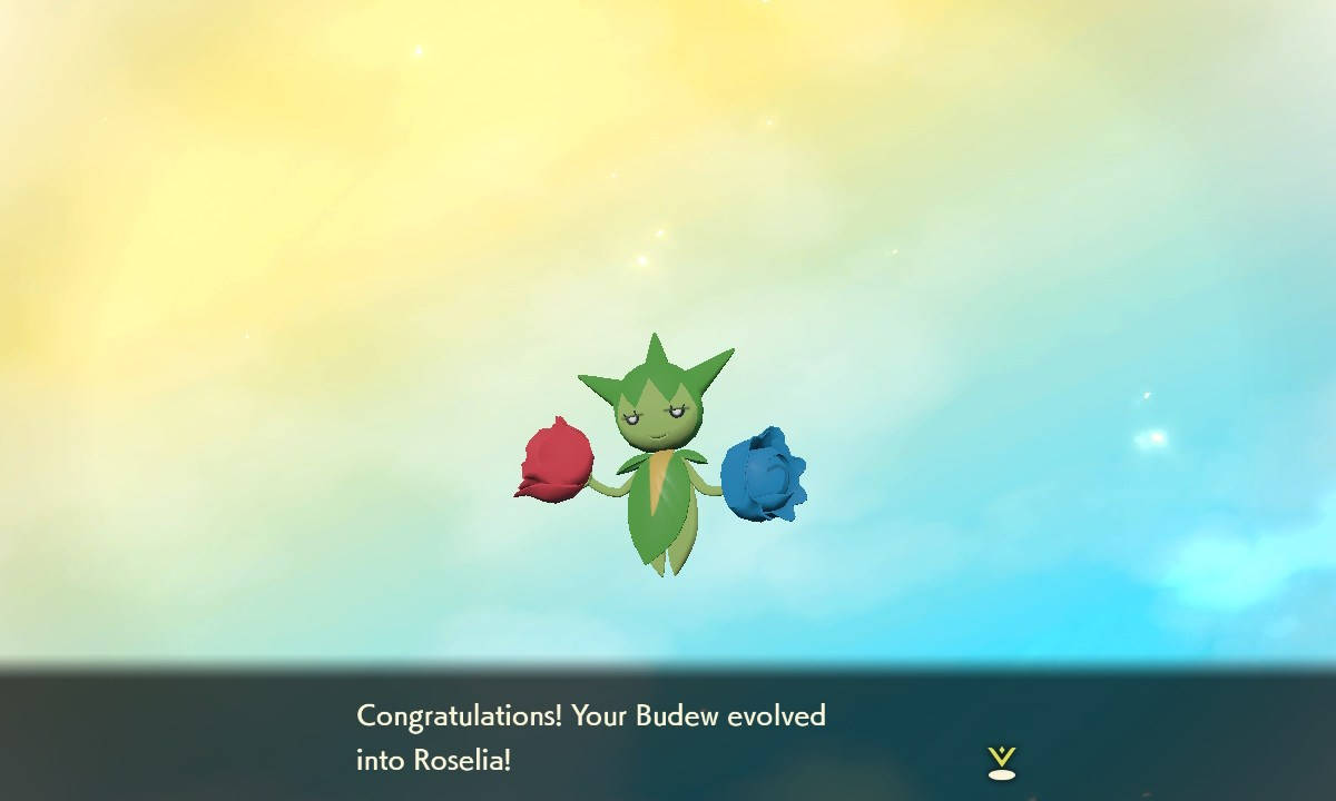 Budew Evolving To Roselia