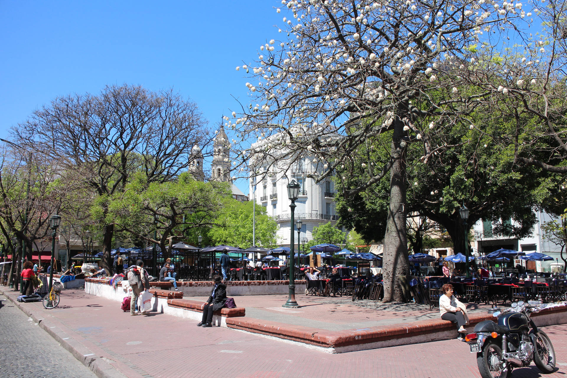 Buenos Aires Plaza Dorrego Background
