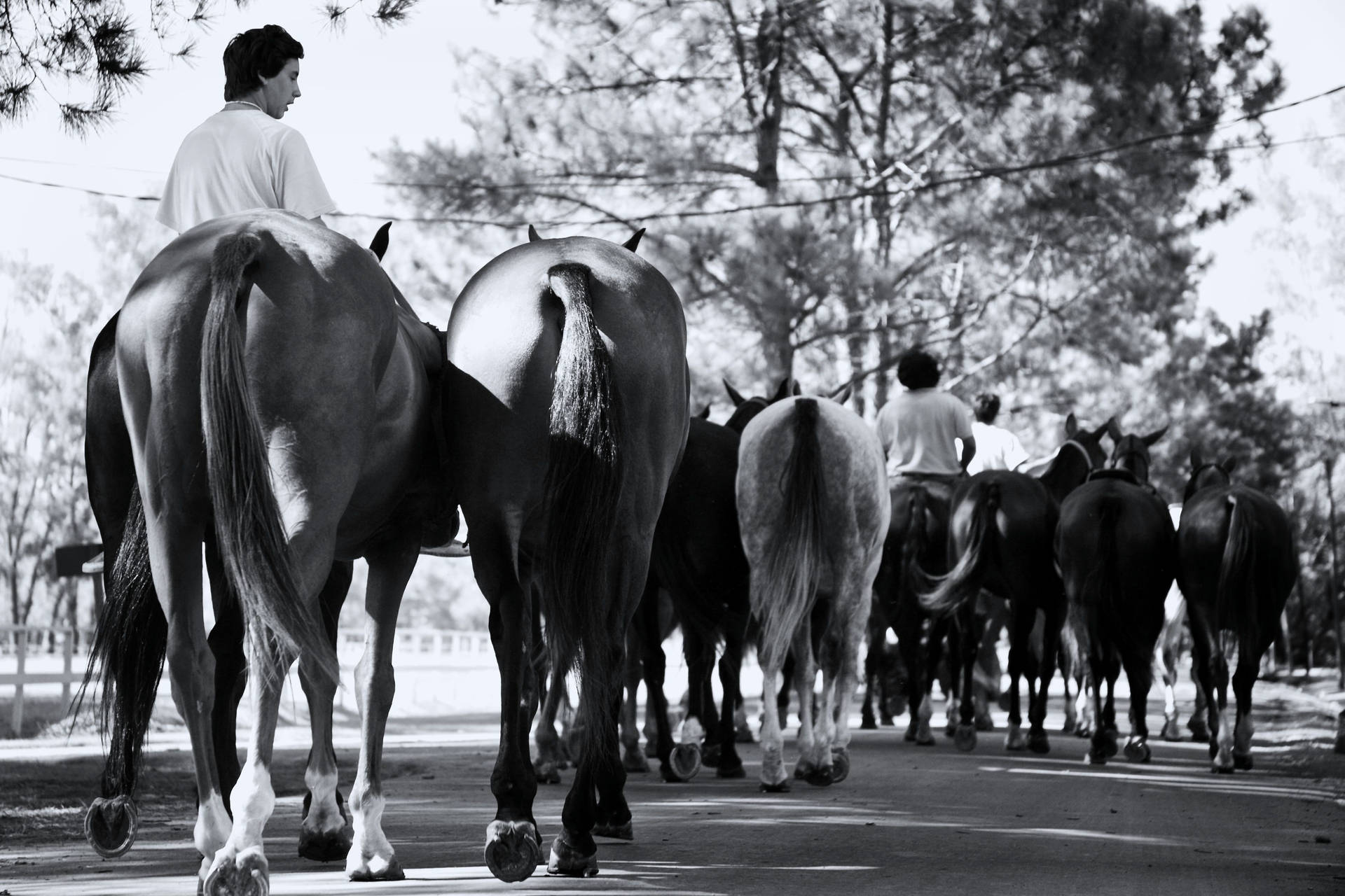 Buenos Aires Polo Club