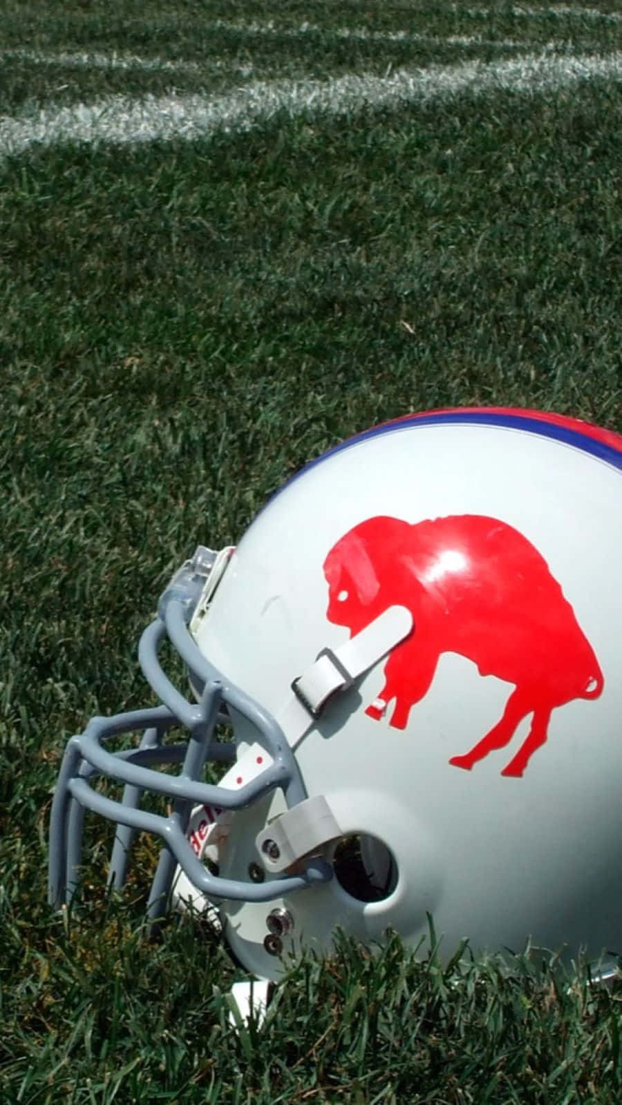 Buffalo Bills Helmeton Field