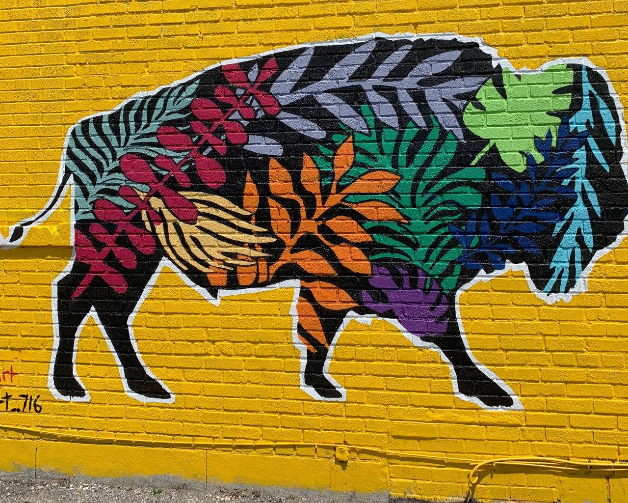 Buffalo Street Art Background