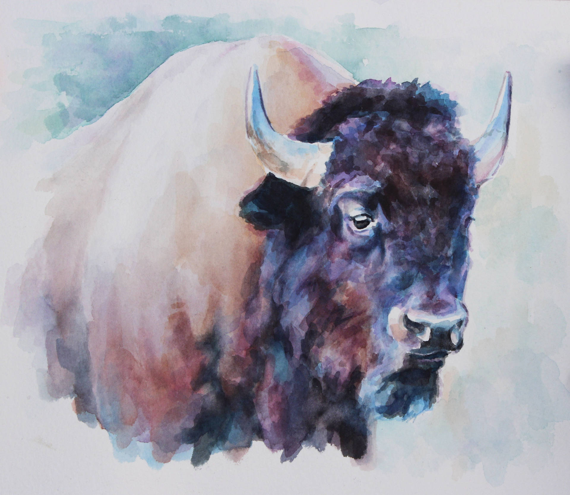 Buffalo Watercolor Painting Background