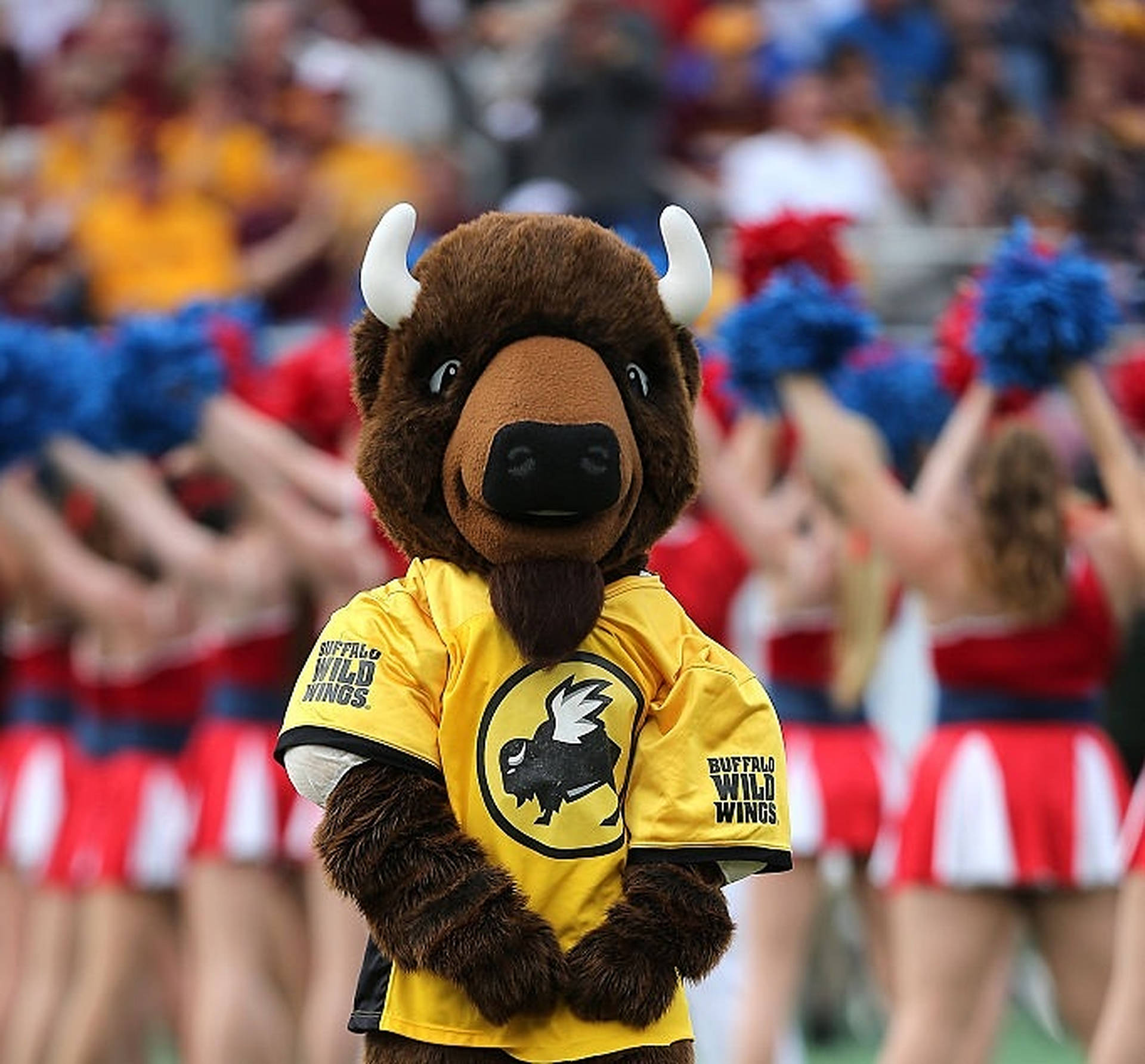 Buffalo Wild Wings Mascot Cheer Dance Background