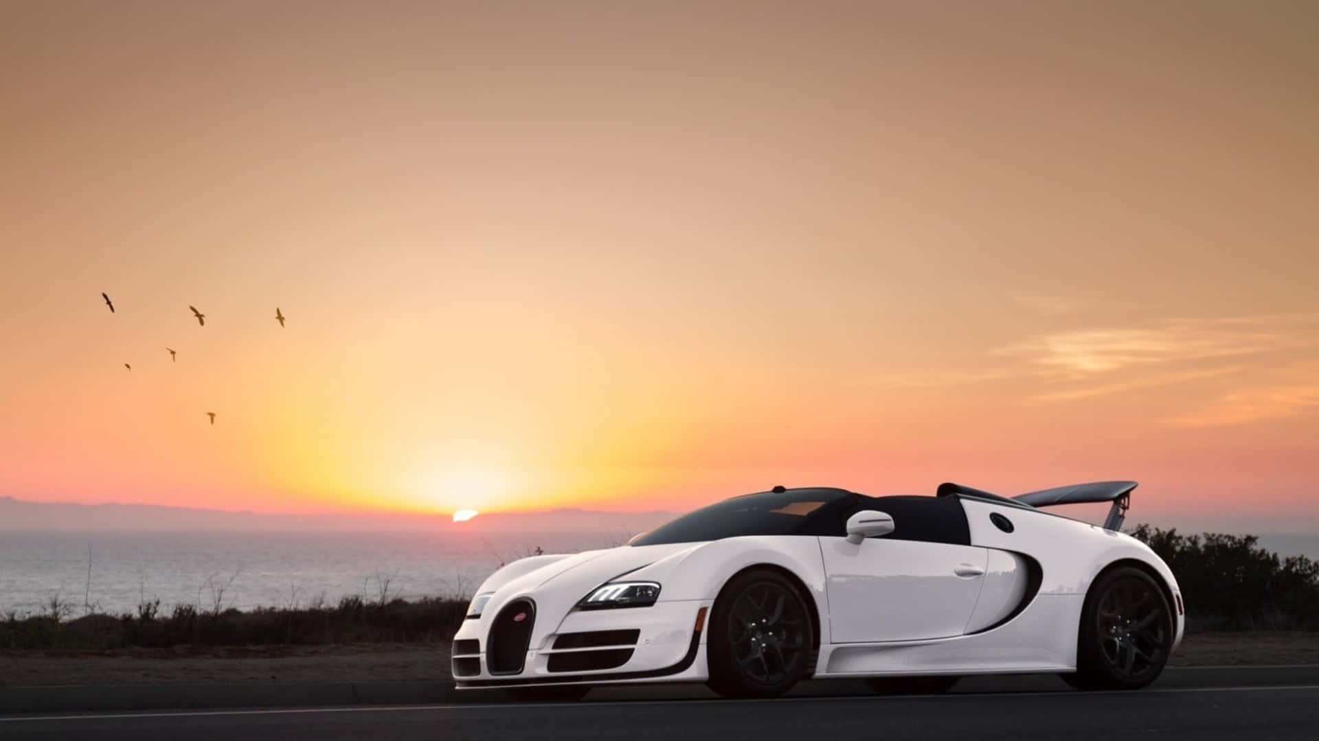 Bugatti Veyron S - Wallpapers Background