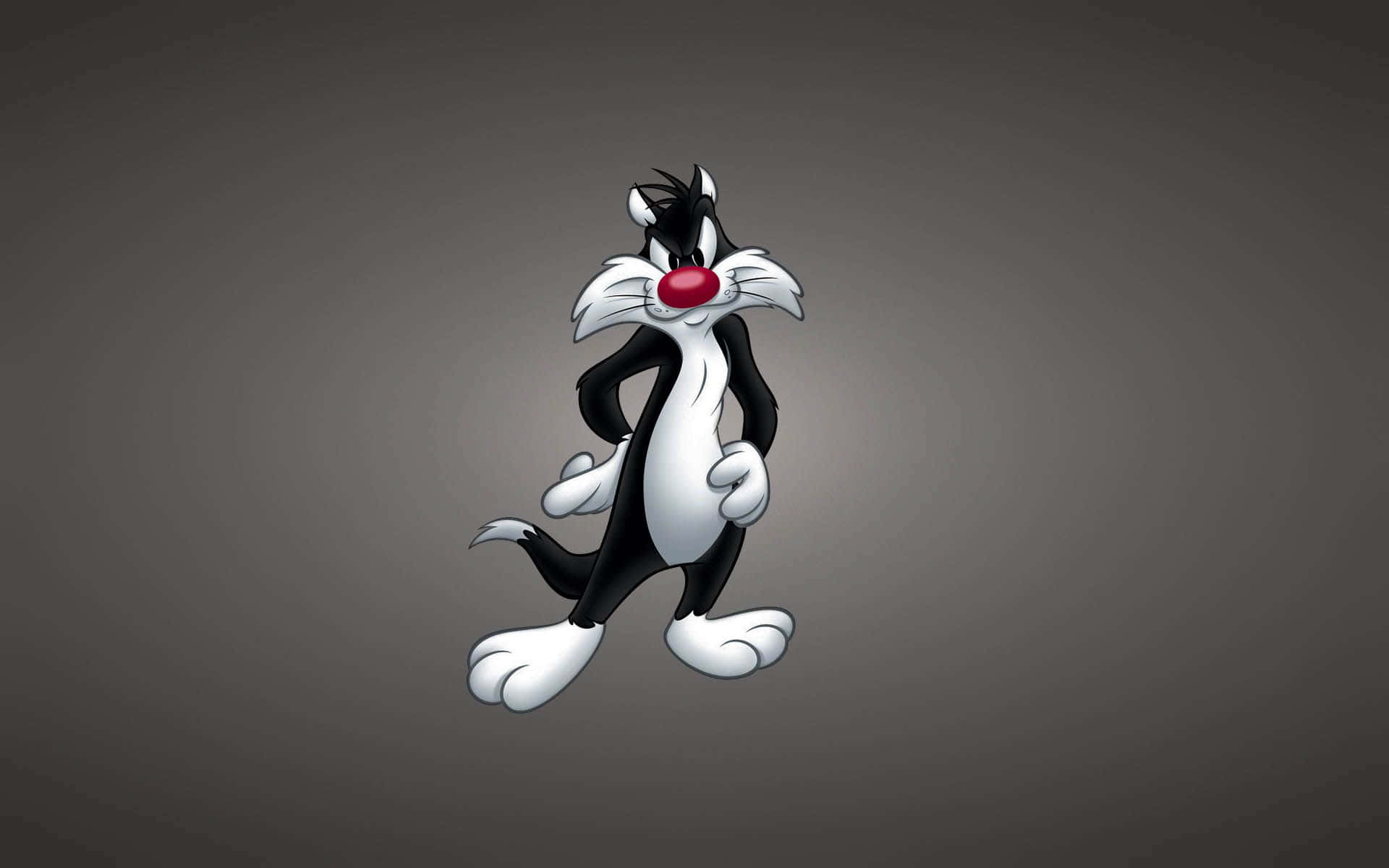Bugs Bunny, Looking Cute And Cool Background