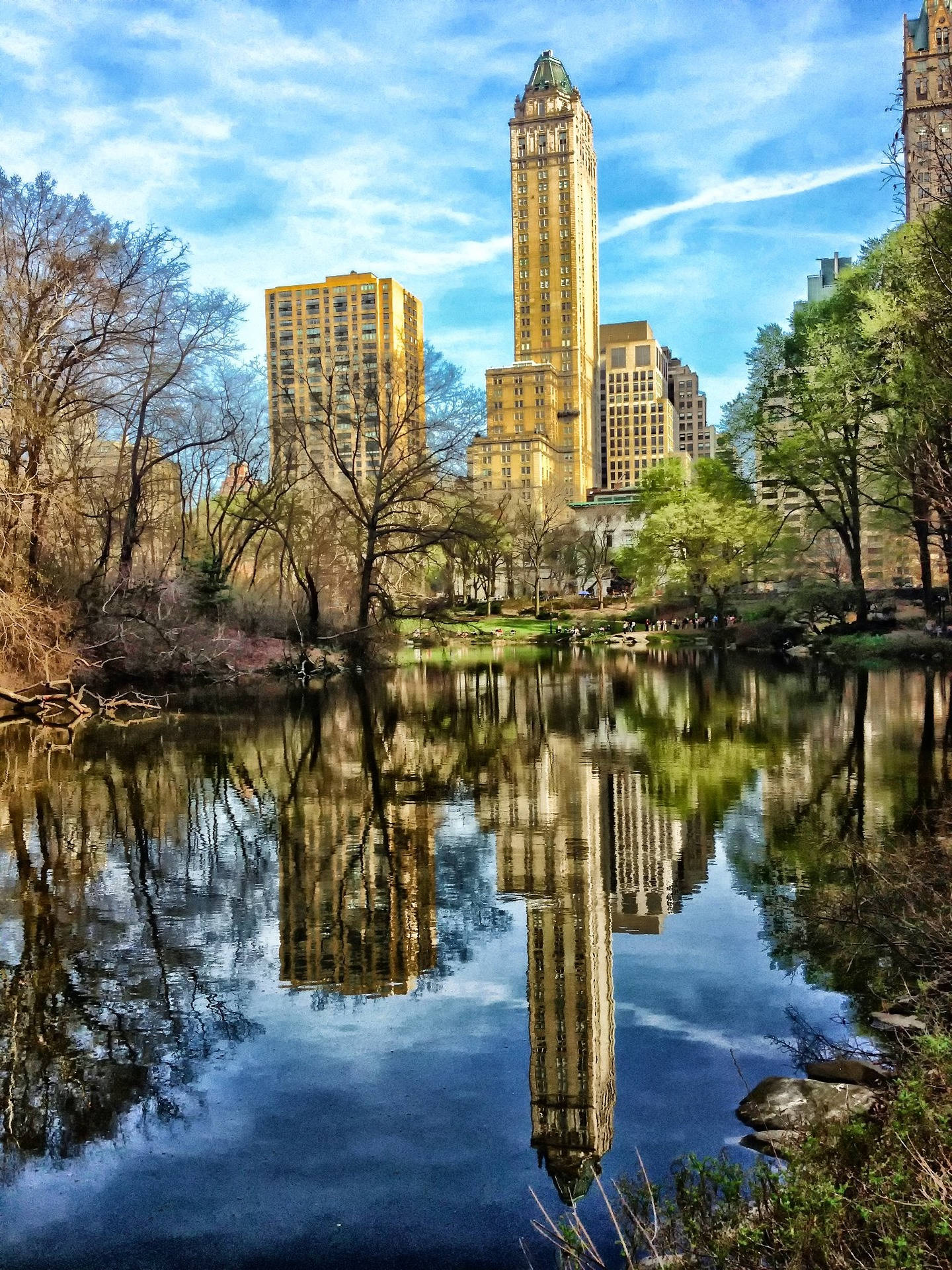 Building Reflection In Central Park Background