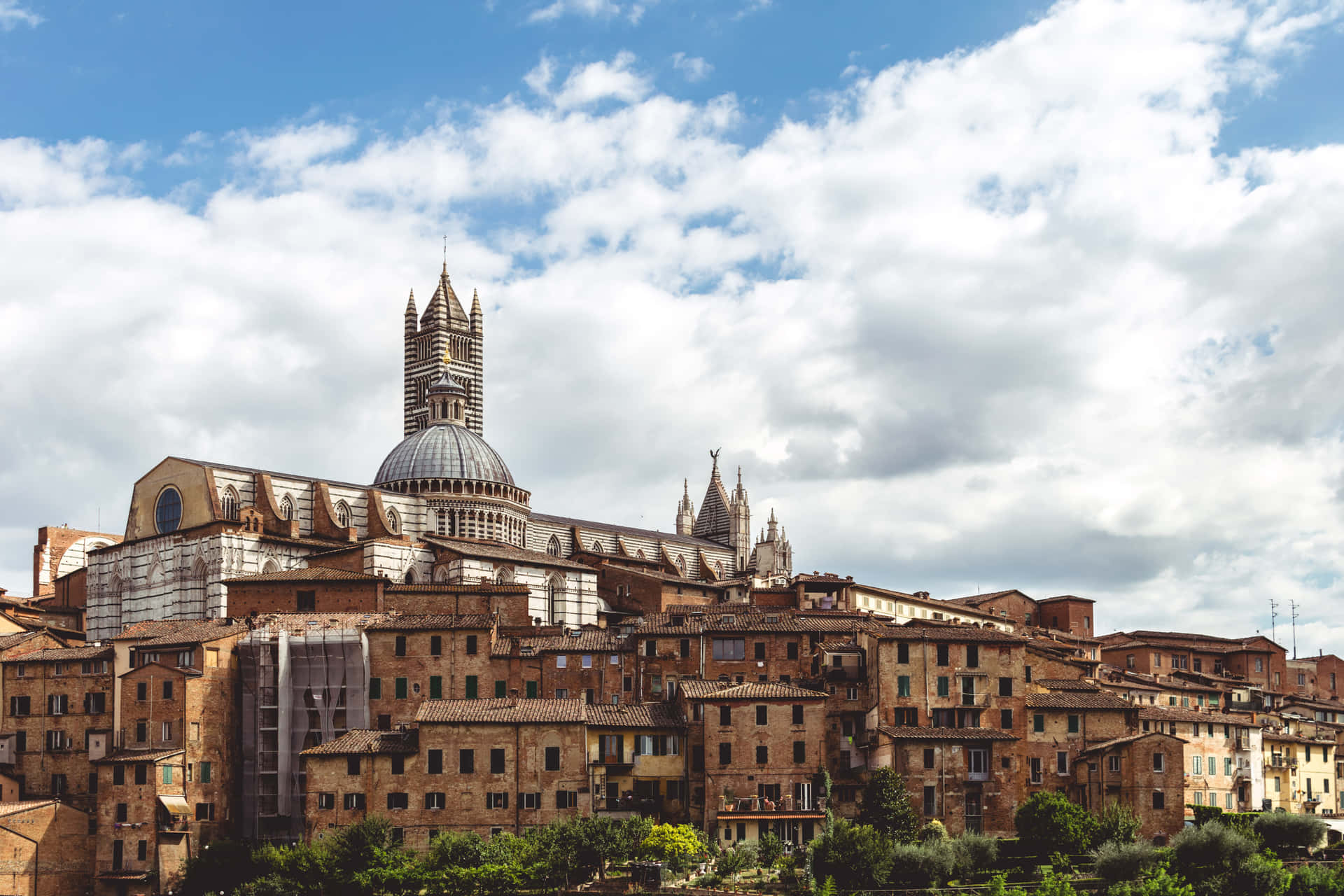 Buildings Near Duomo Di Siena