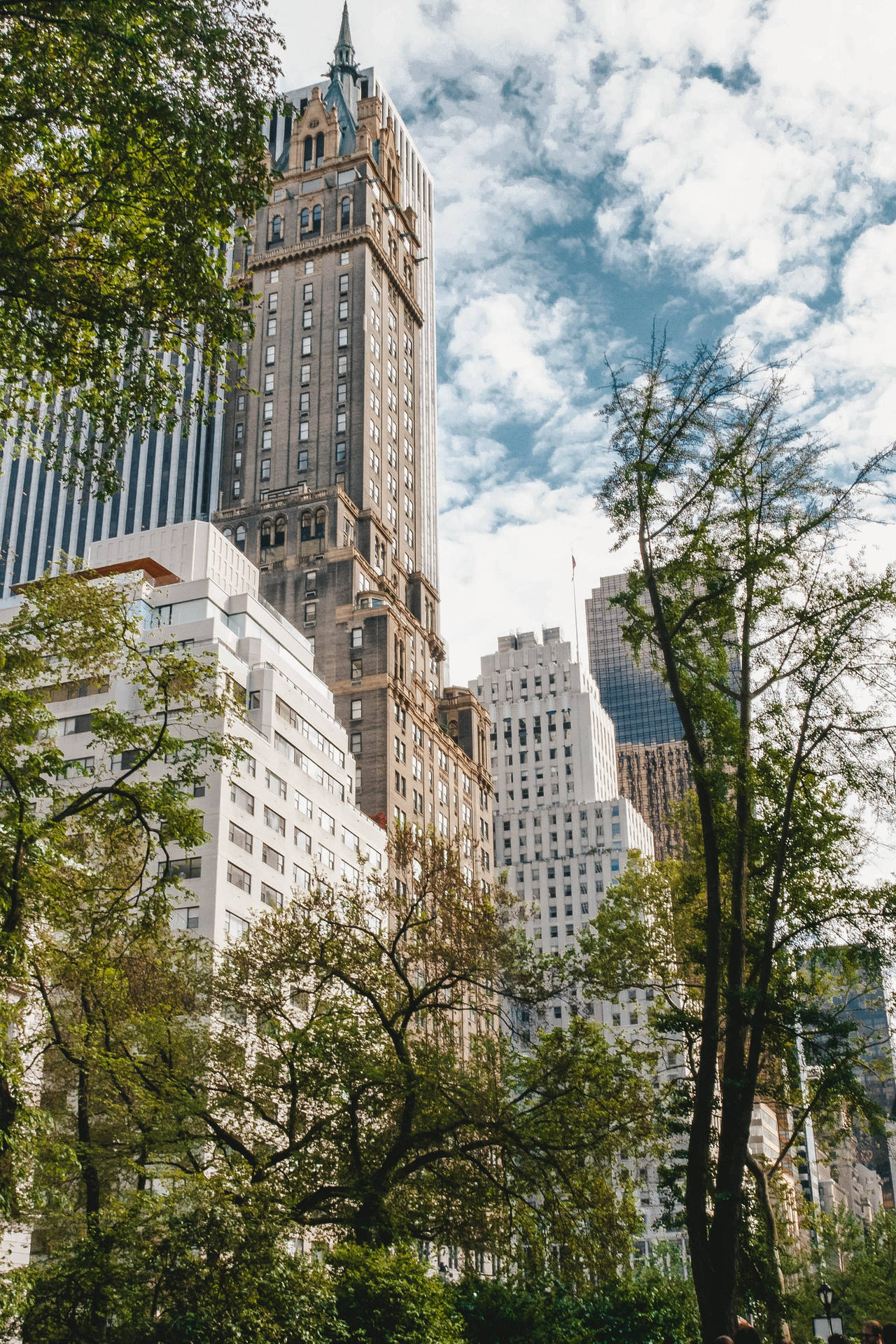 Buildings Overlooking Central Park Background