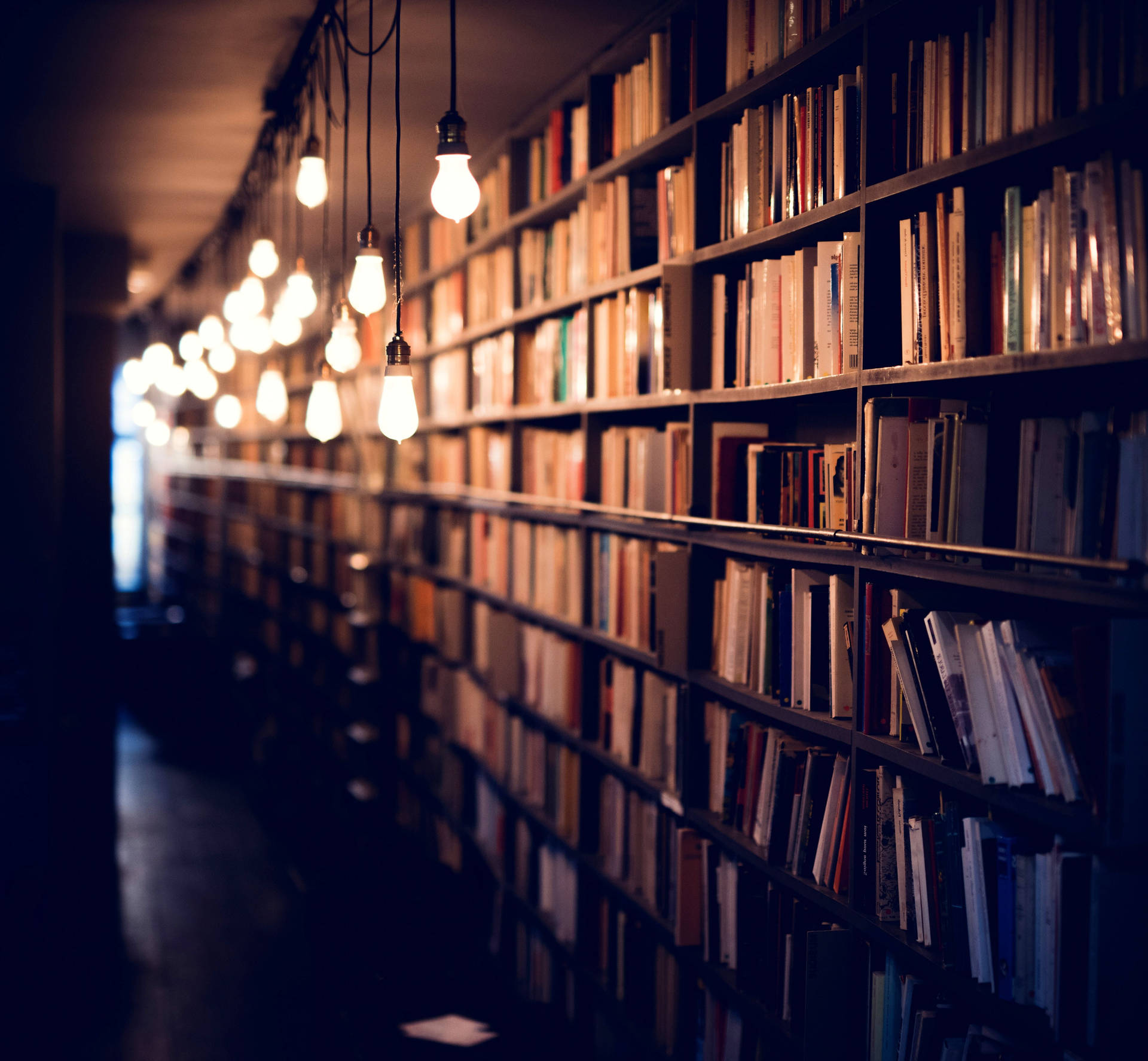 Bulbs Along Shelves Filled With Books