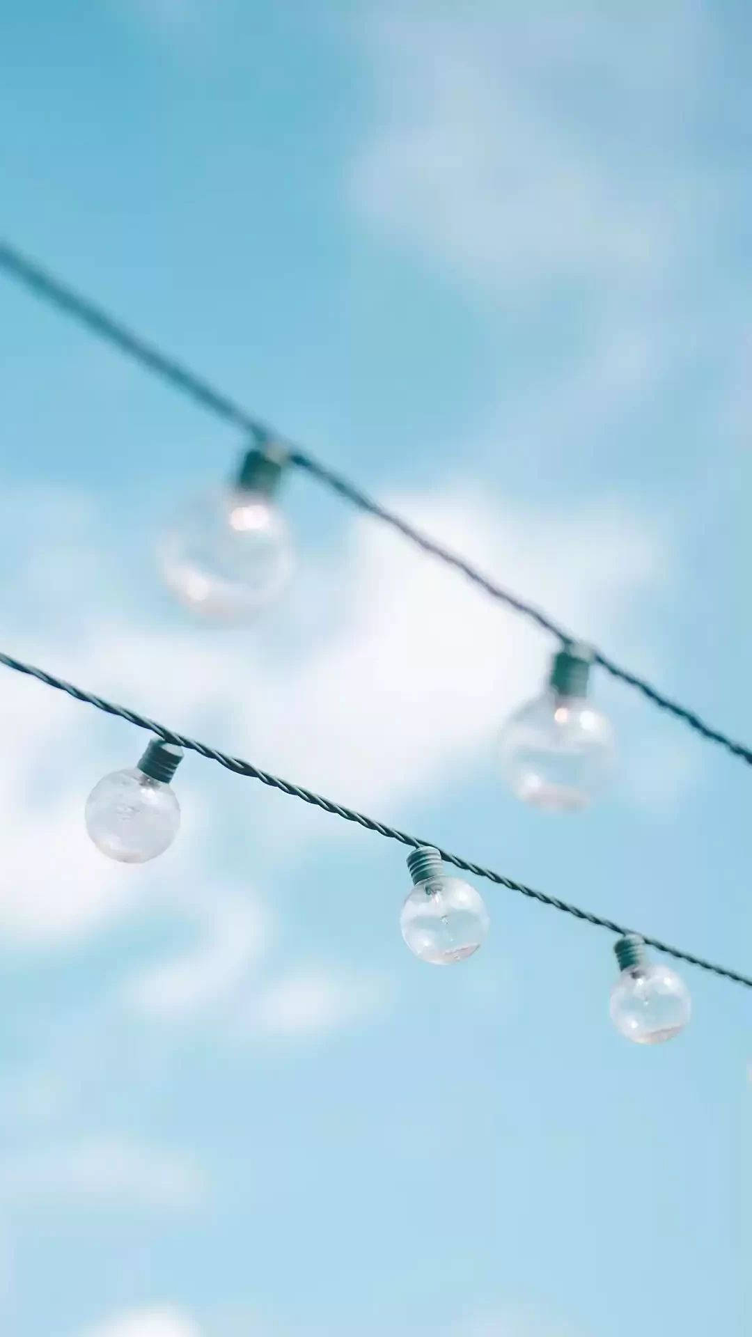 Bulbs On A Baby Blue Sky Background